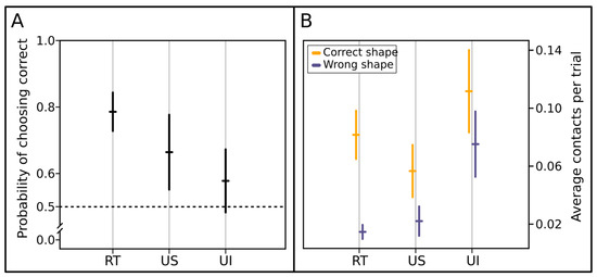 Visual attention and processing in jumping spiders: Trends in Neurosciences