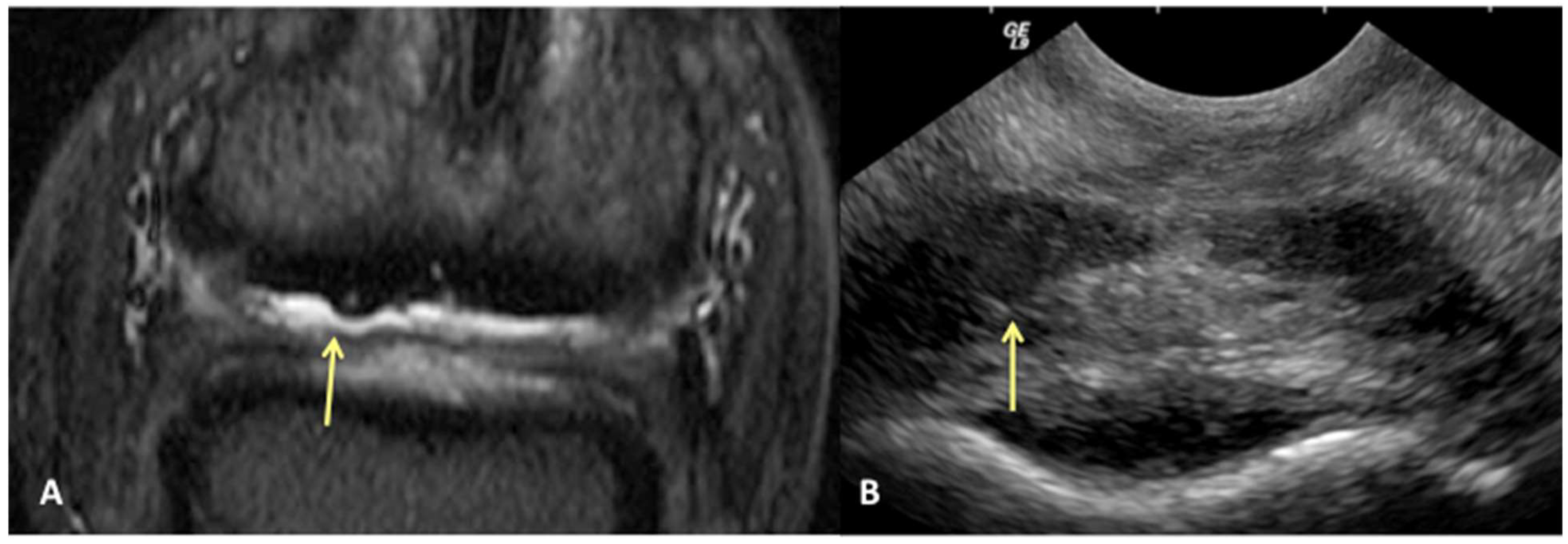 Animals 13 02328 g001