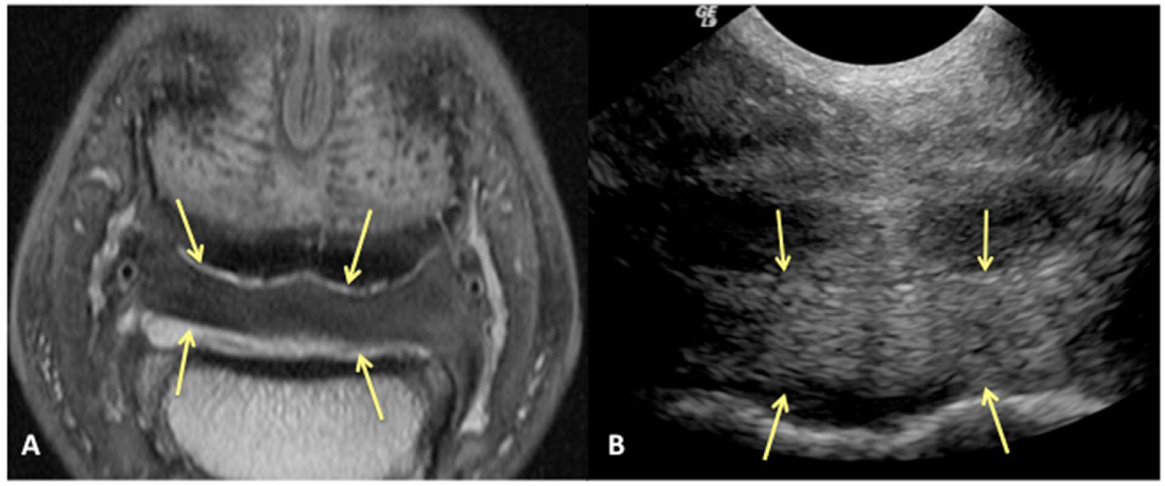 Animals 13 02328 g002