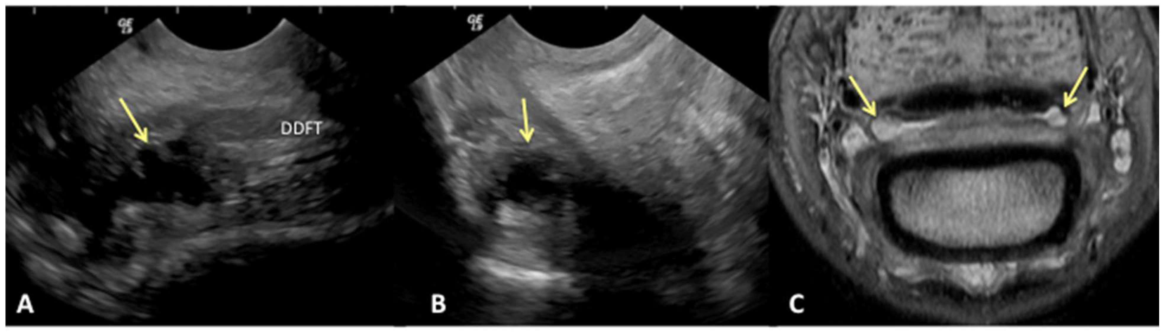 Animals 13 02328 g003