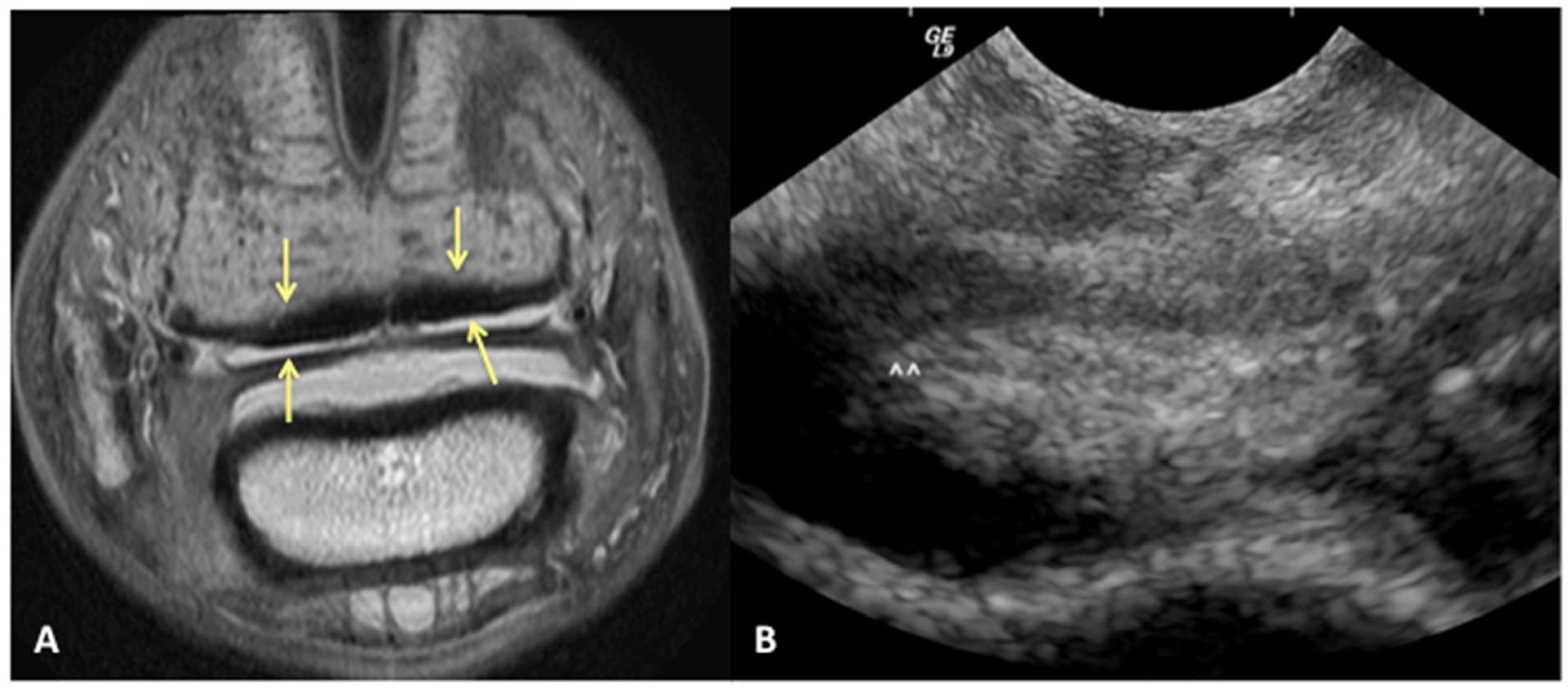 Animals 13 02328 g004