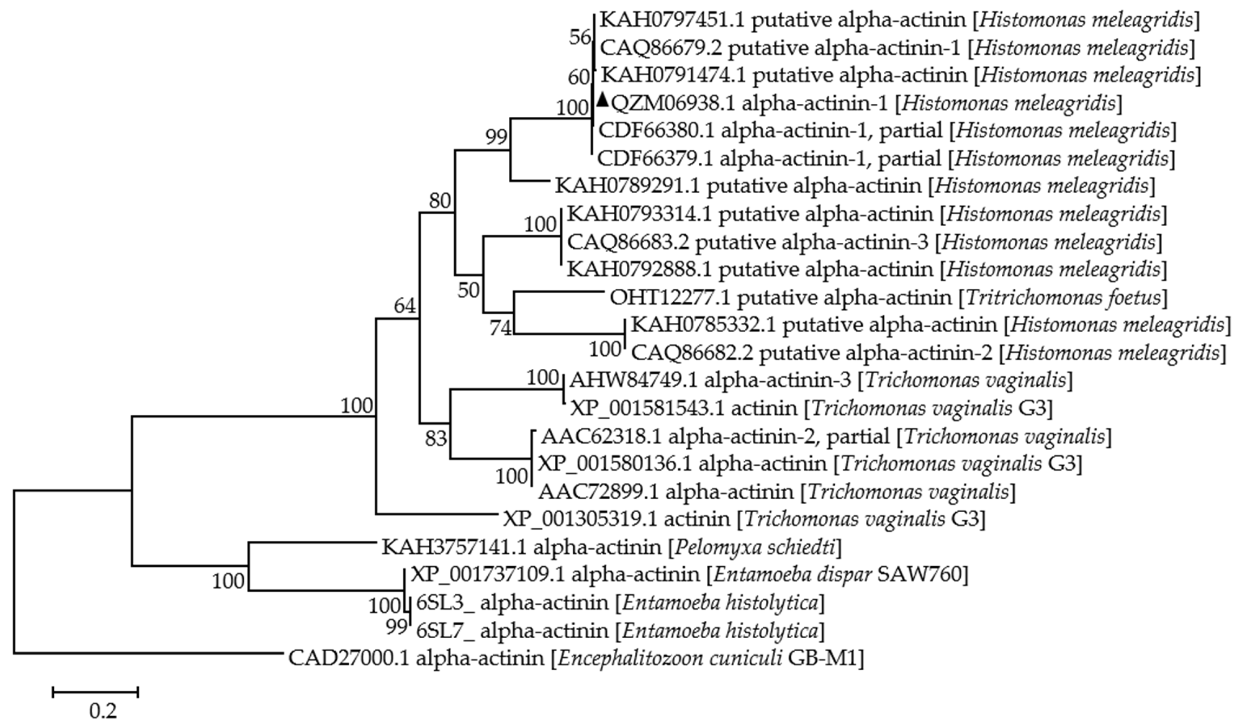 Animals 13 02330 g001