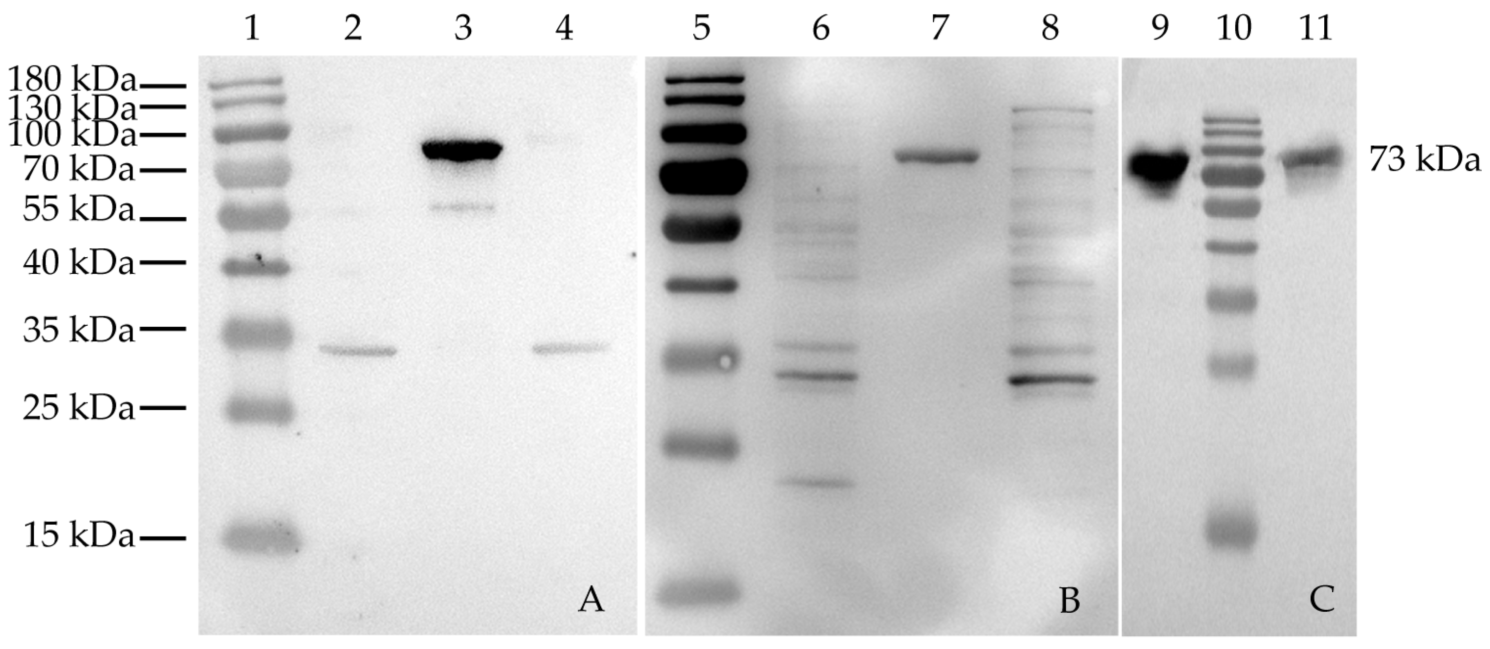 Animals 13 02330 g003