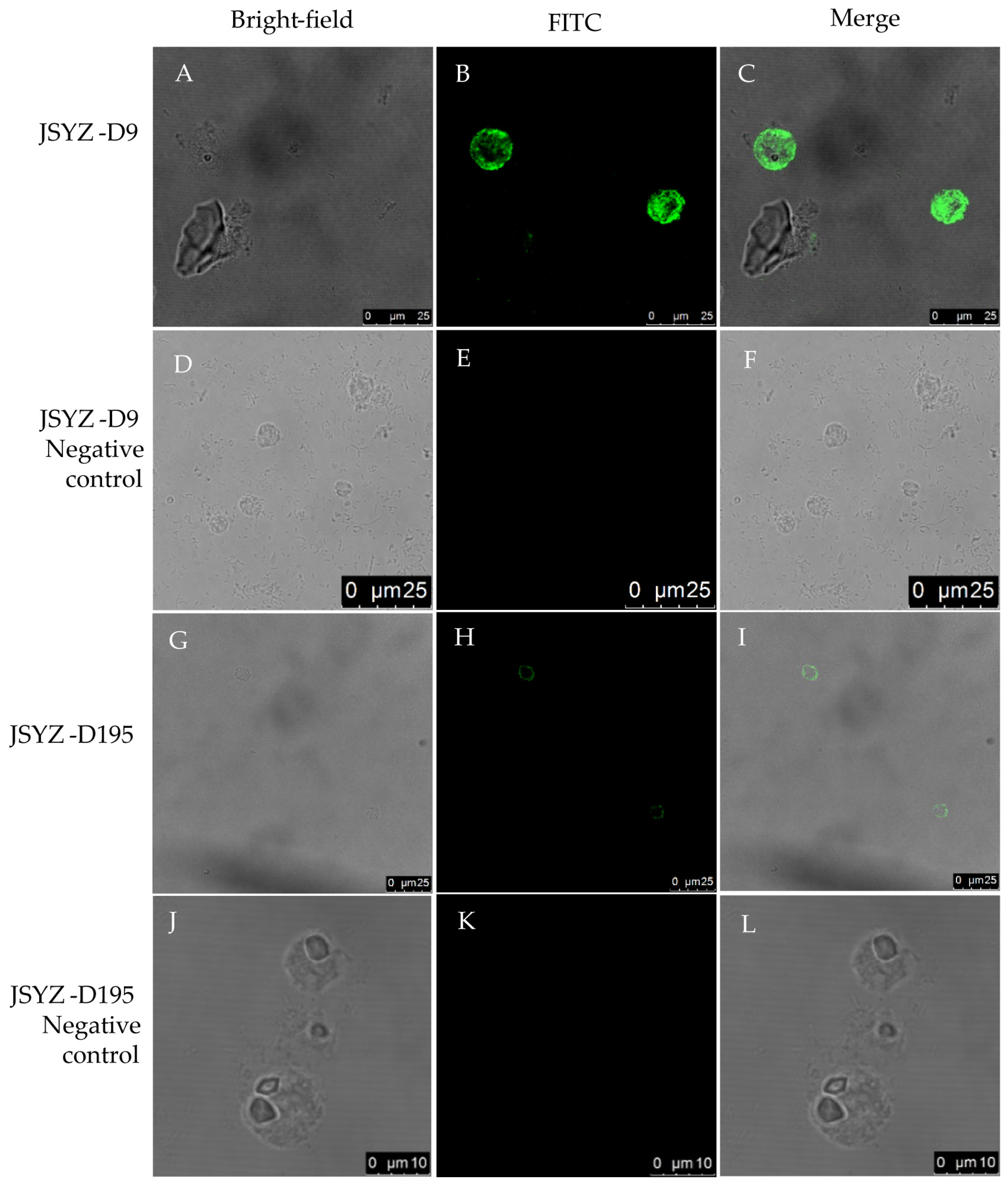 Animals 13 02330 g004