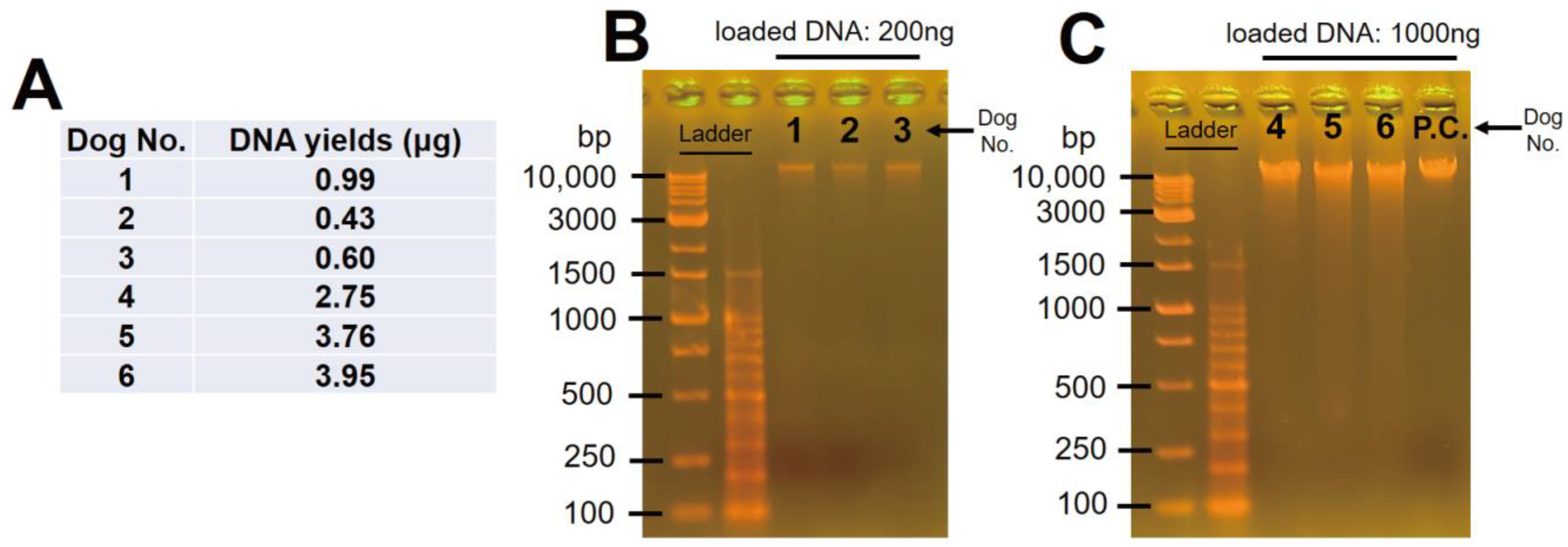 Animals 13 02332 g002