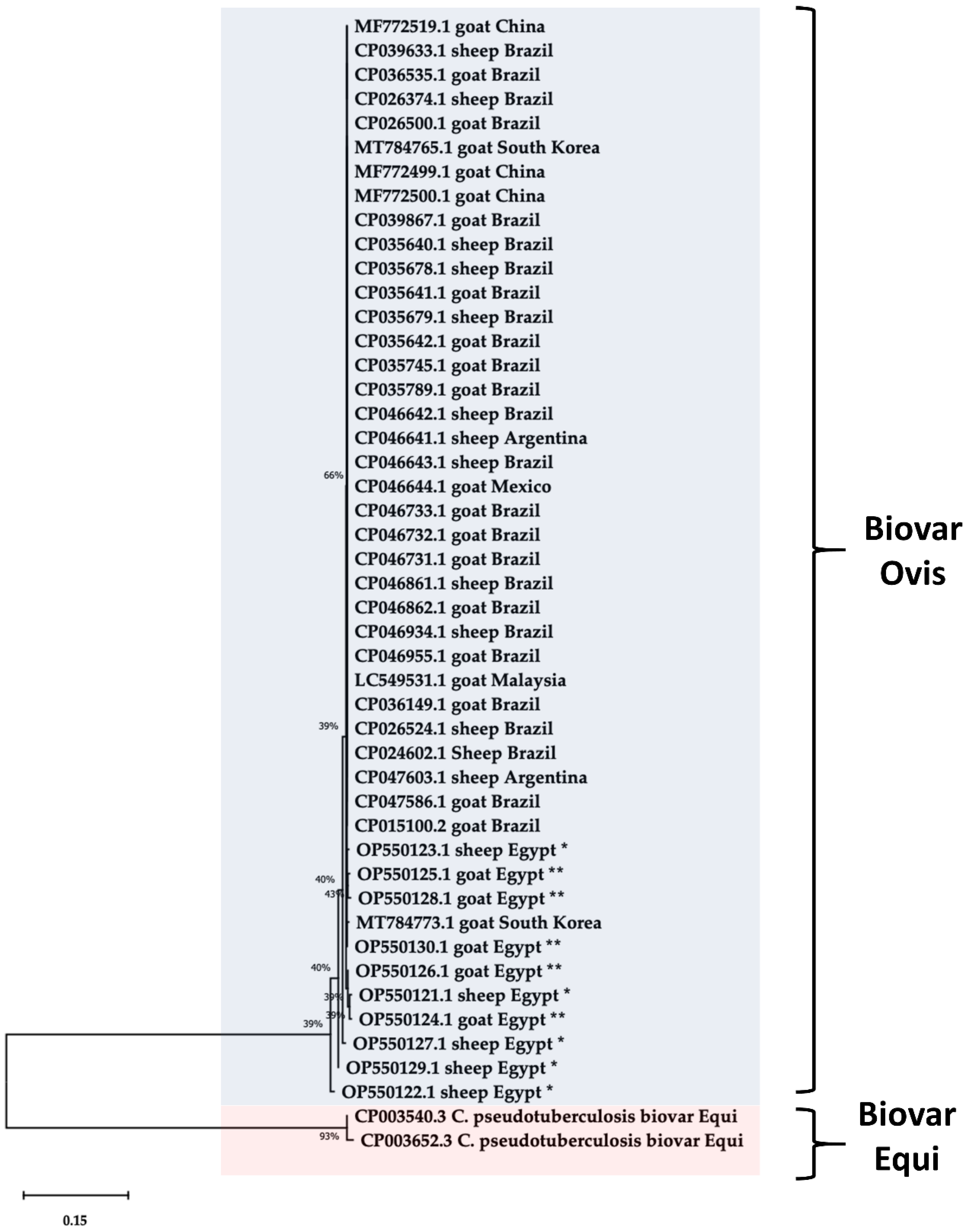 Animals 13 02337 g006 Animals 13 02337 g006