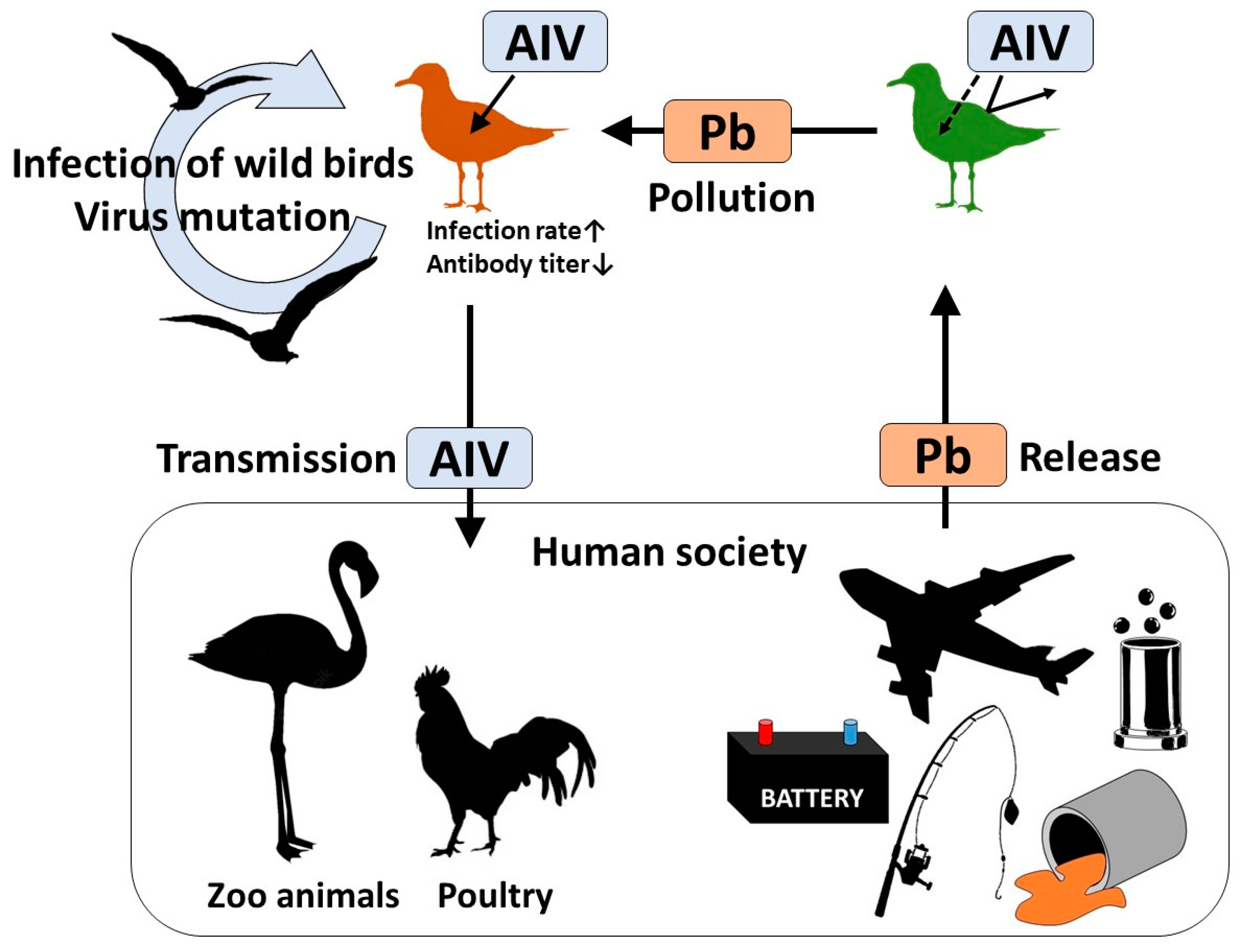 Animals 13 02338 g004 Animals 13 02338 g004