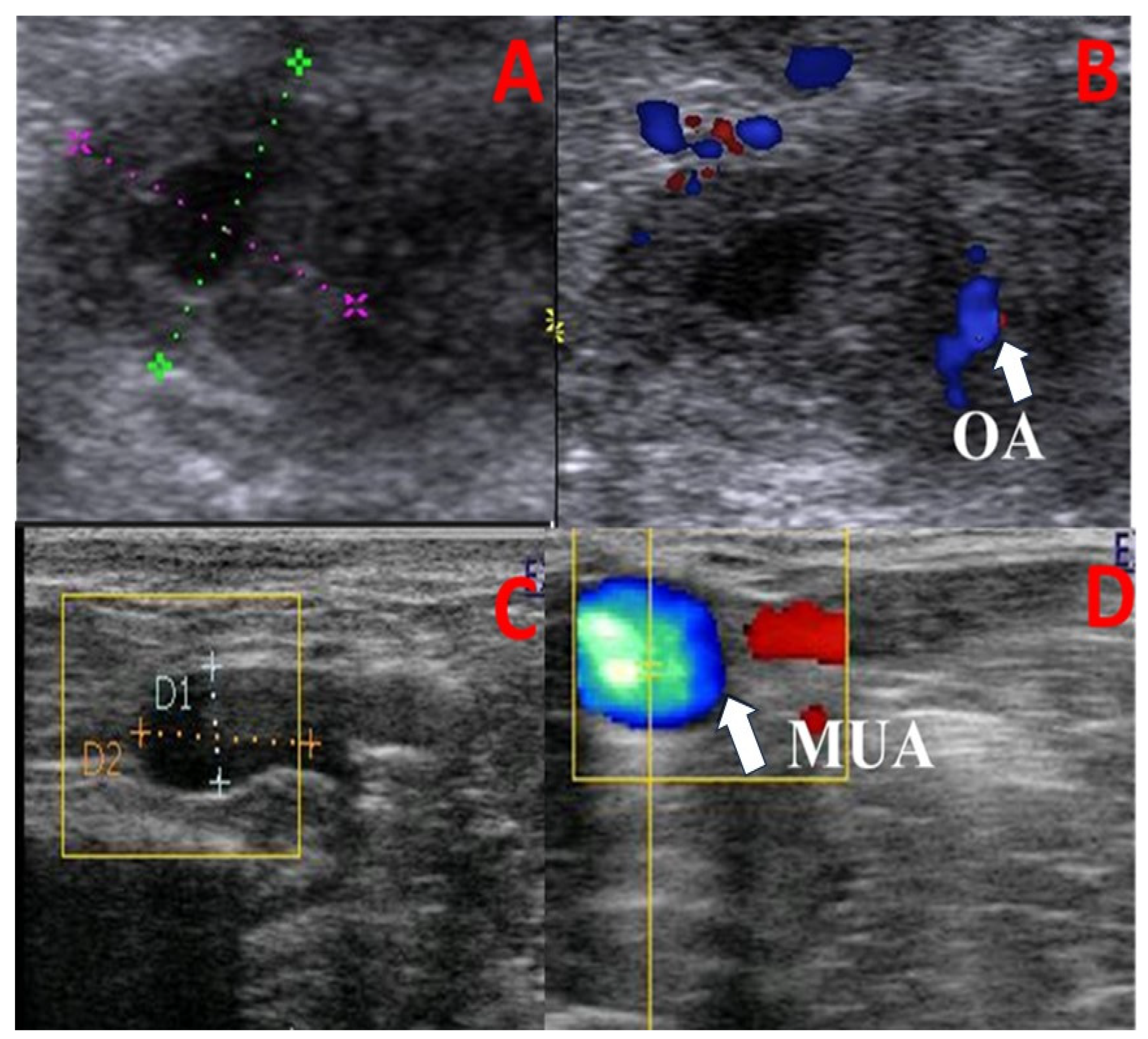 Animals 13 02340 g001