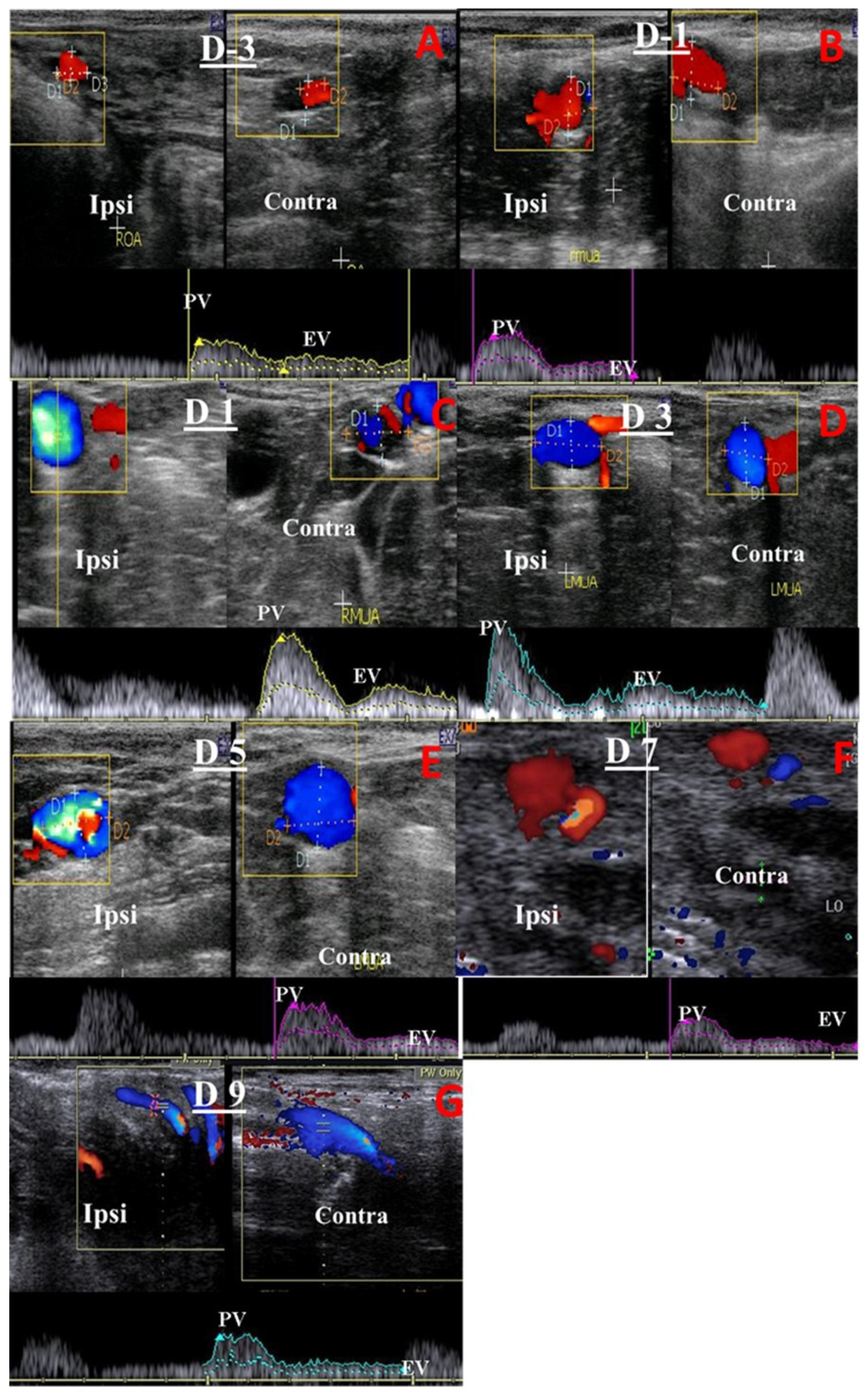 Animals 13 02340 g002