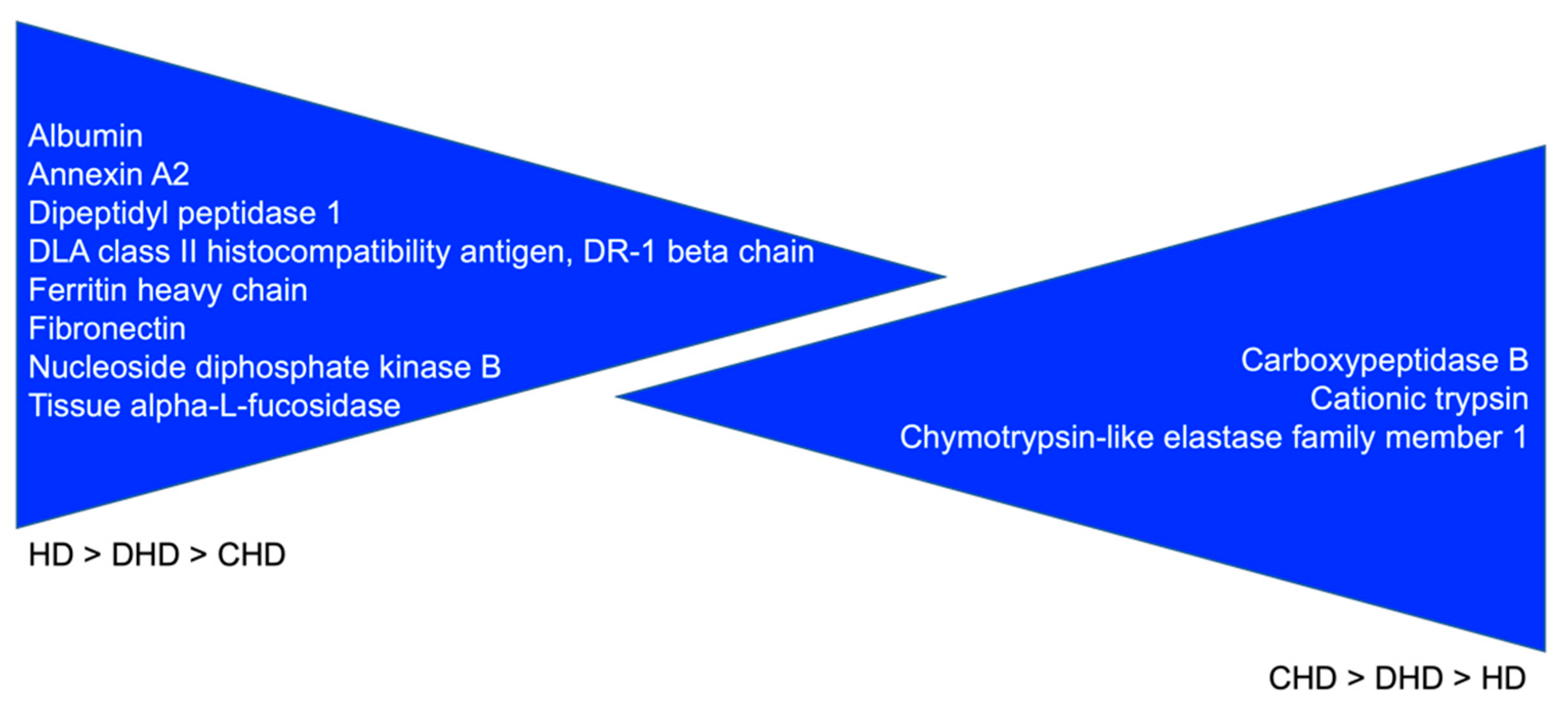 Animals 13 02343 g004 Animals 13 02343 g004