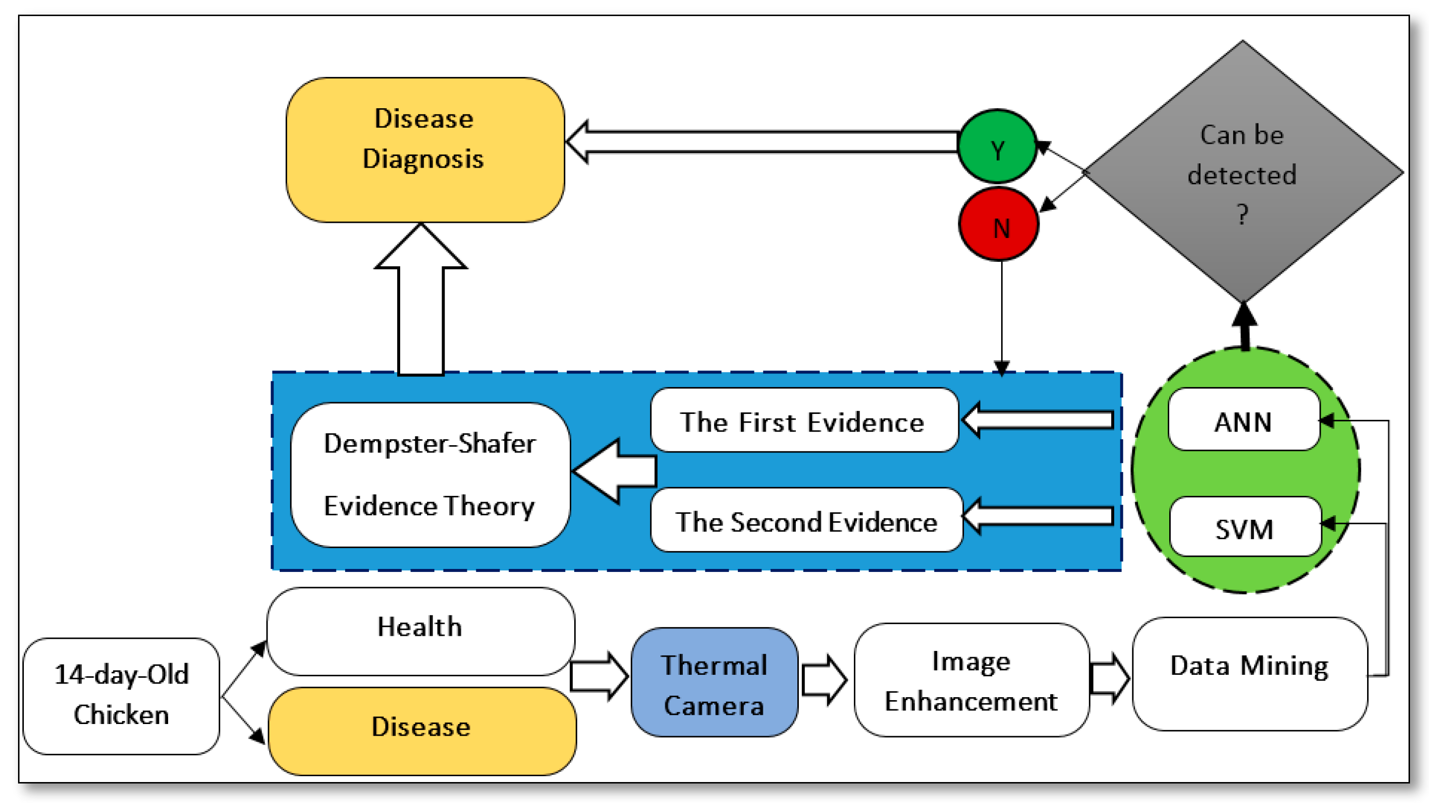 Animals 13 02348 g004