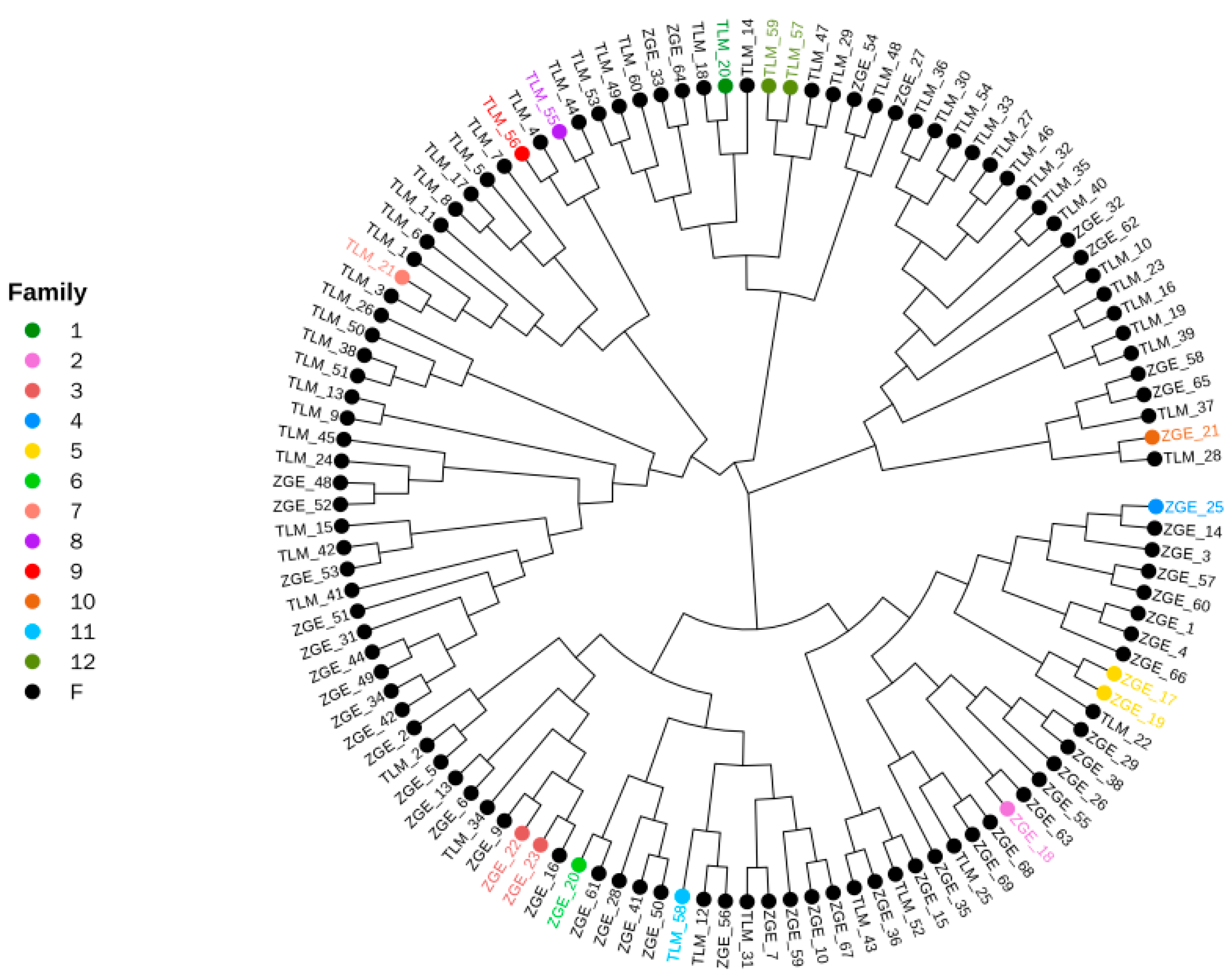 Animals 13 02349 g012 Animals 13 02349 g012