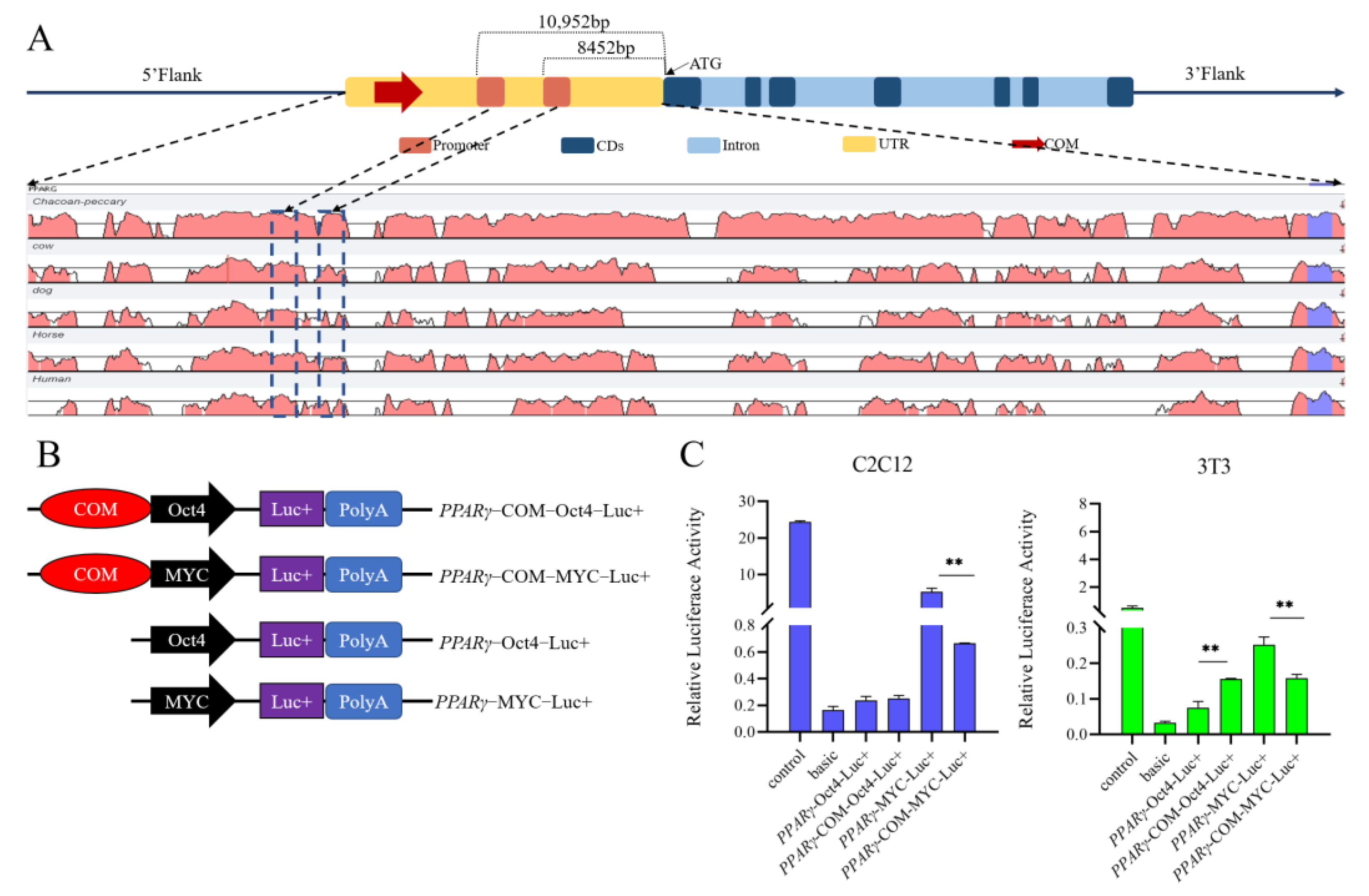 Animals 13 02355 g003 Animals 13 02355 g003