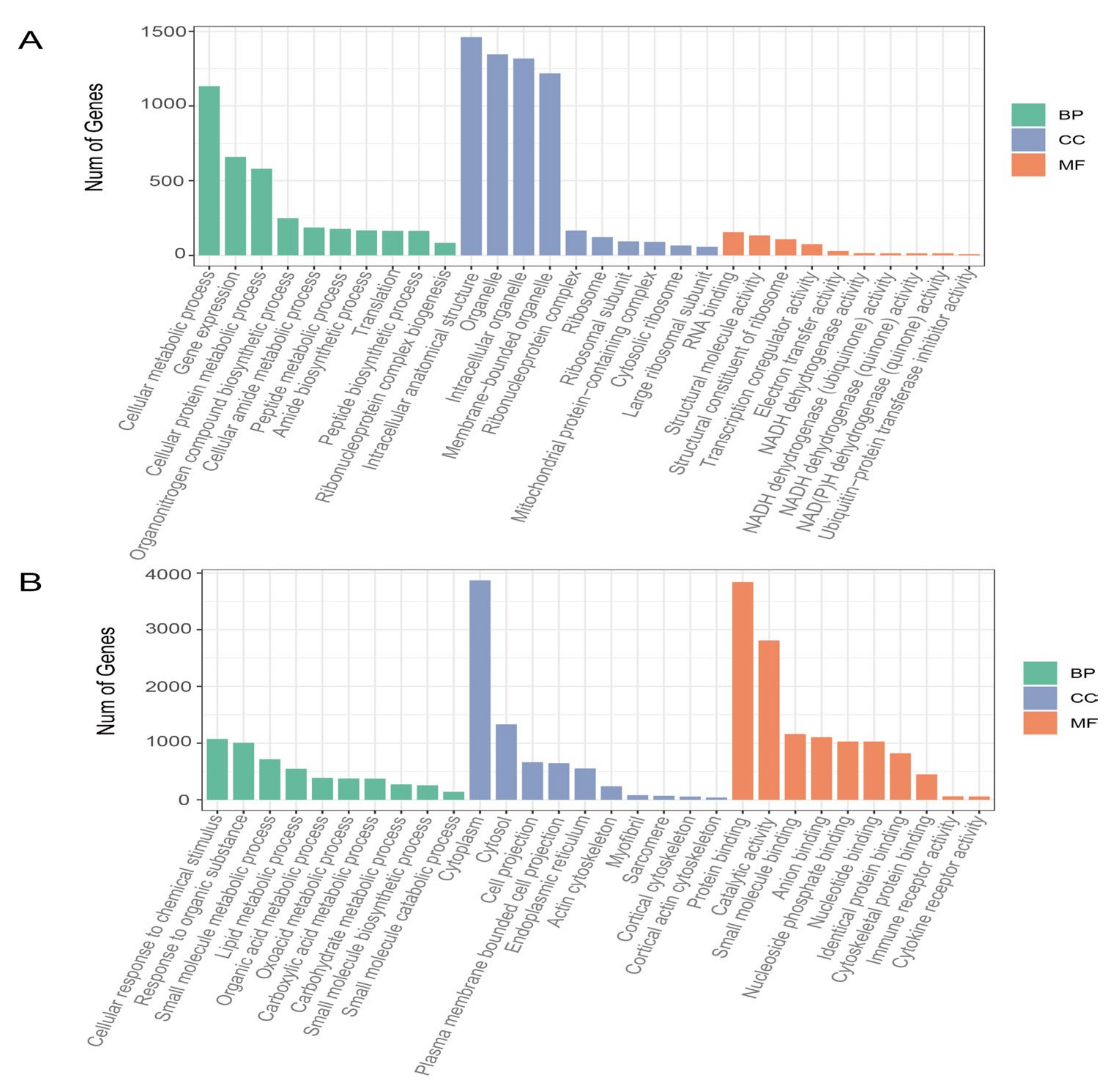 Animals 13 02356 g003 Animals 13 02356 g003