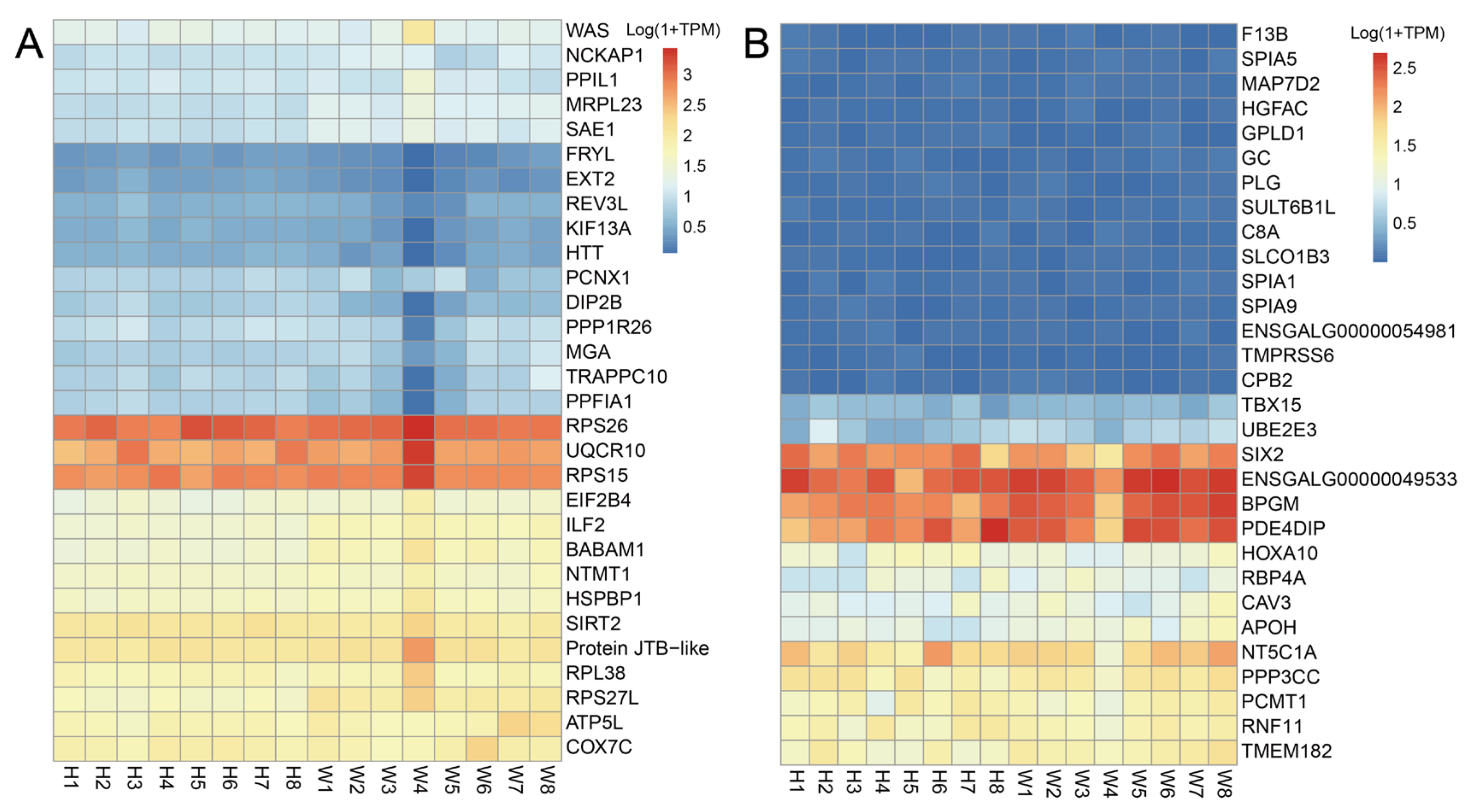 Animals 13 02356 g005 Animals 13 02356 g005
