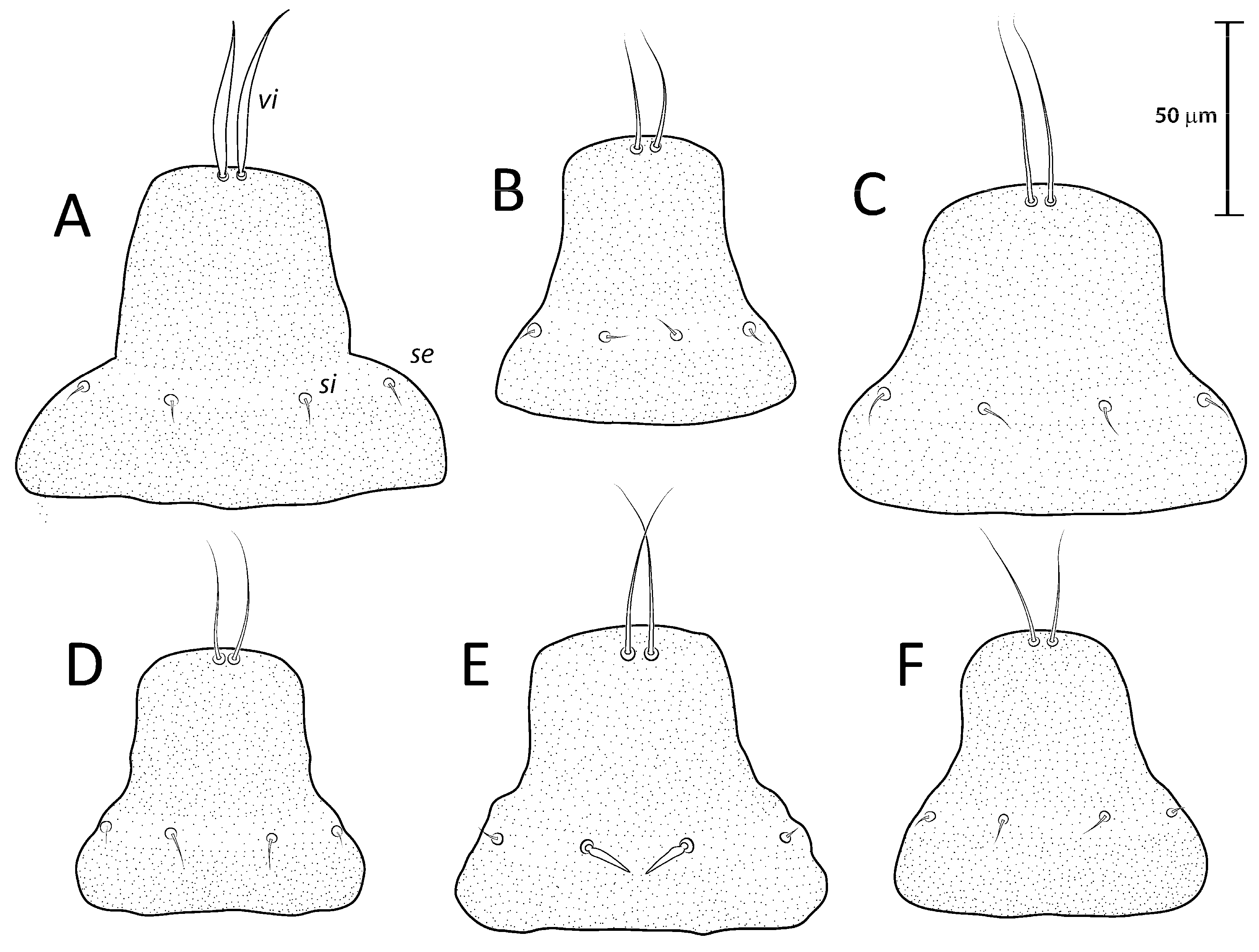 Animals 13 02360 g002