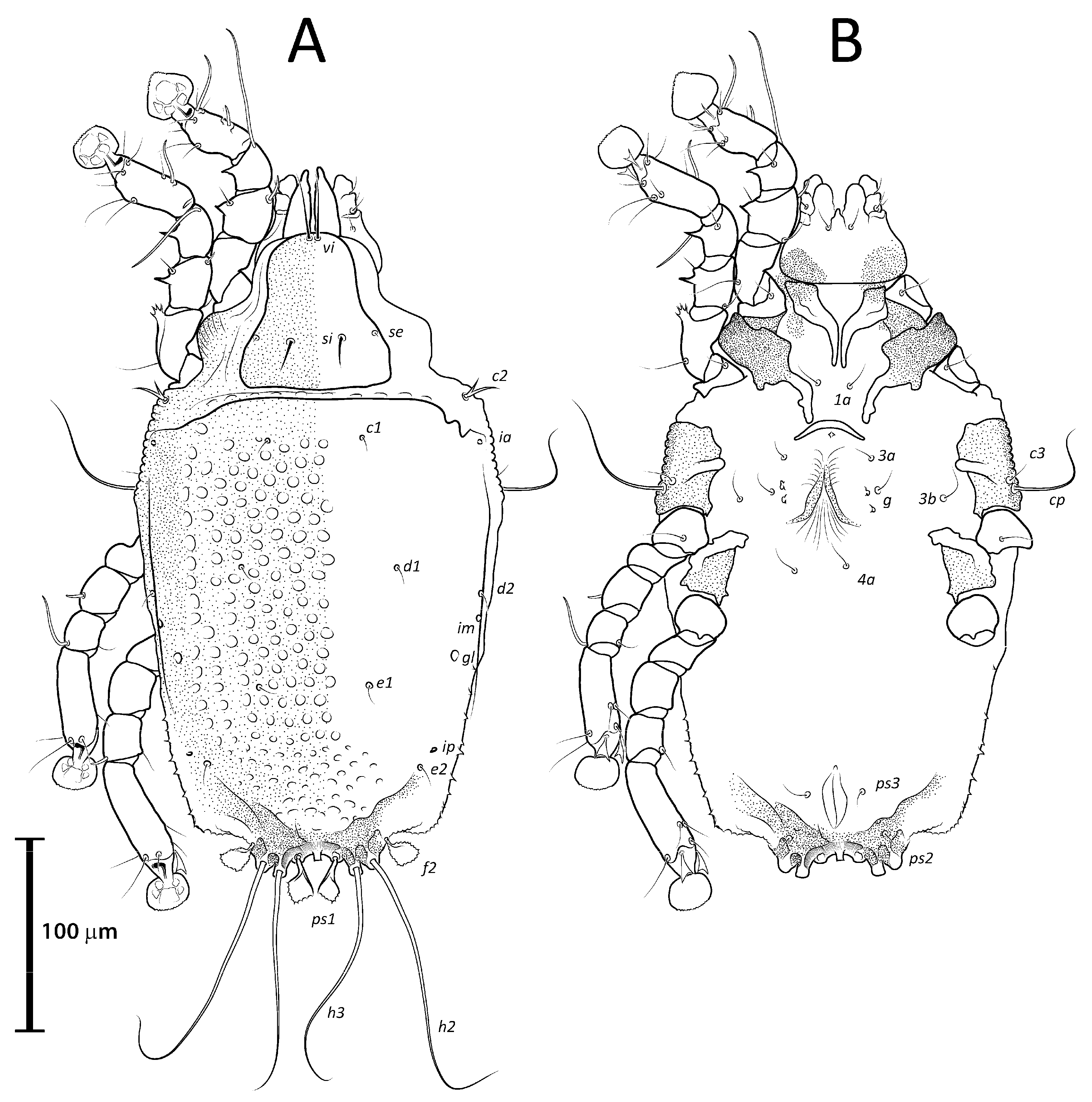 Animals 13 02360 g007