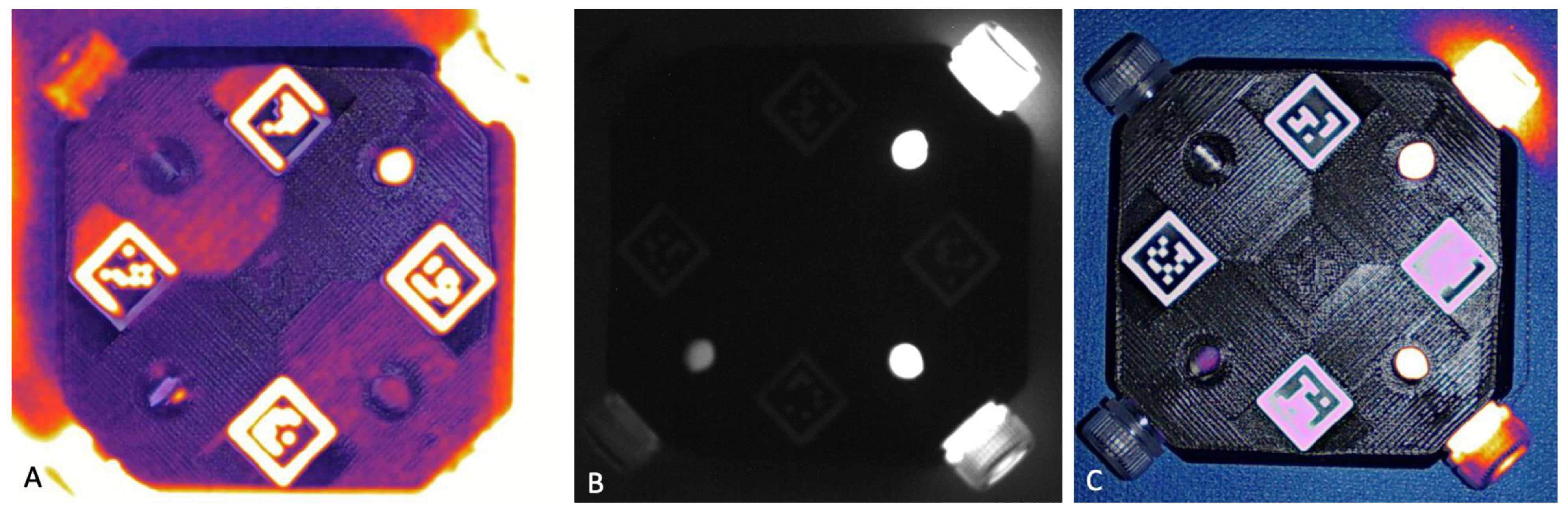 Animals 13 02363 g003