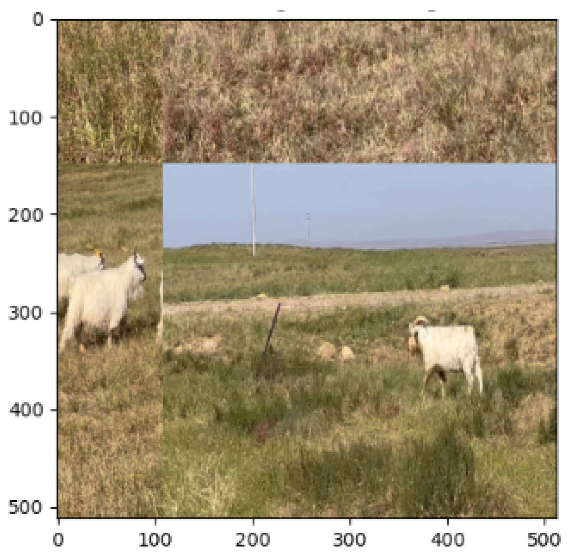 Animals 13 02365 g007 Animals 13 02365 g007