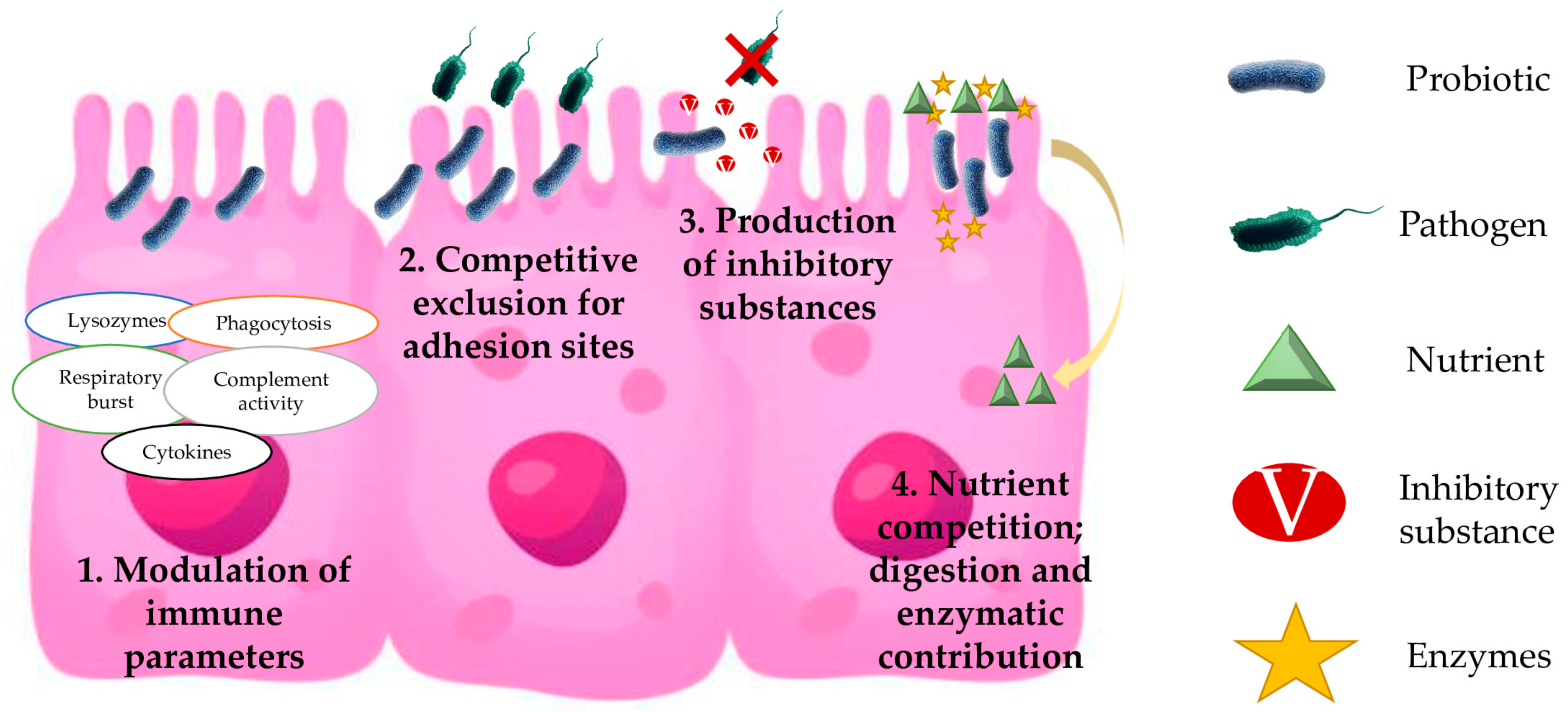 Animals 13 02369 g002 Animals 13 02369 g002