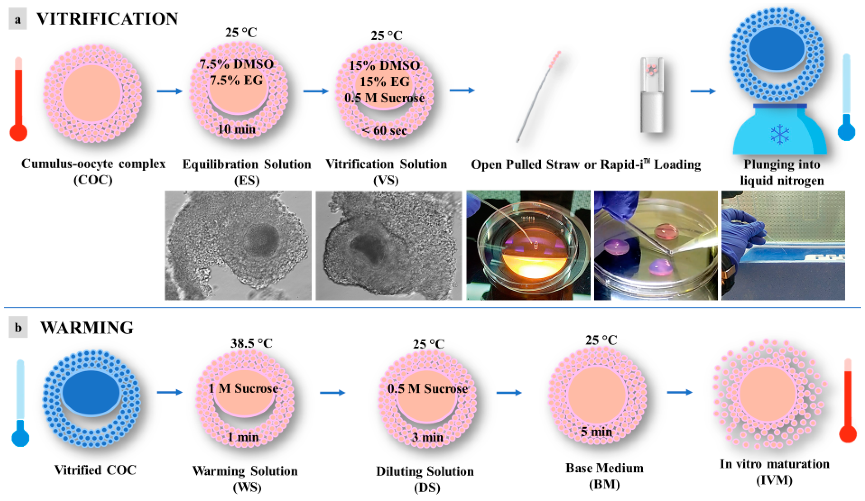 Animals 13 02371 g002