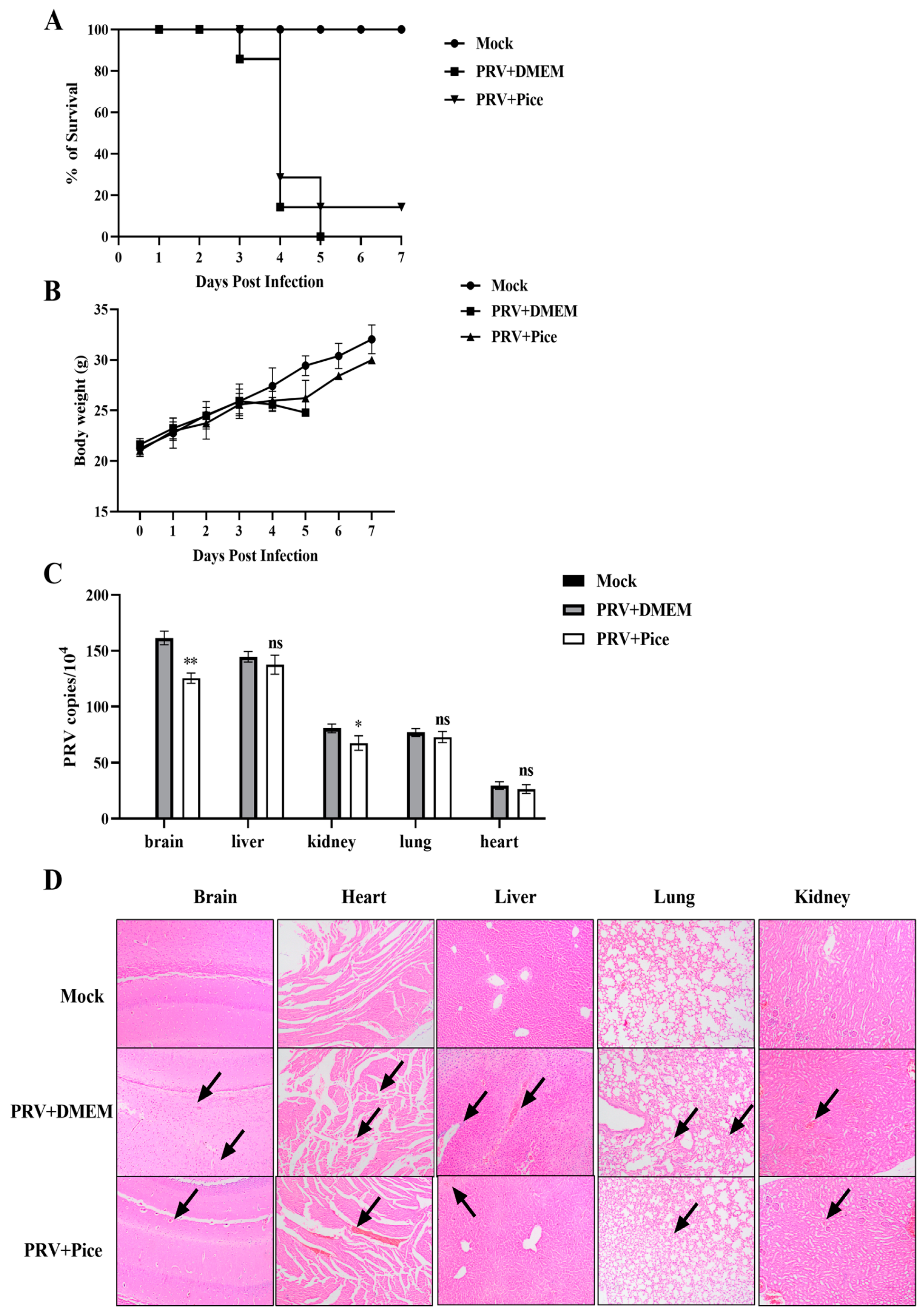 Animals 13 02376 g006 Animals 13 02376 g006