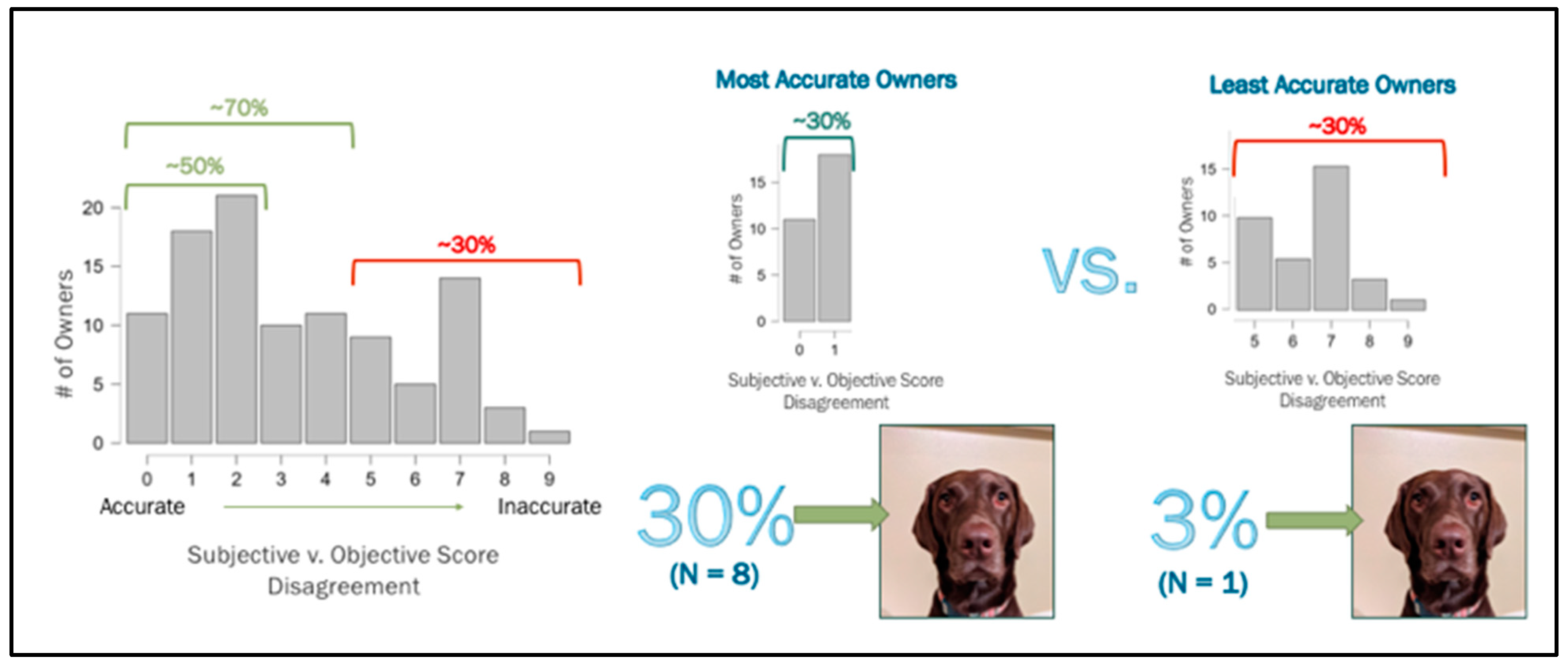 Animals 13 02385 g006