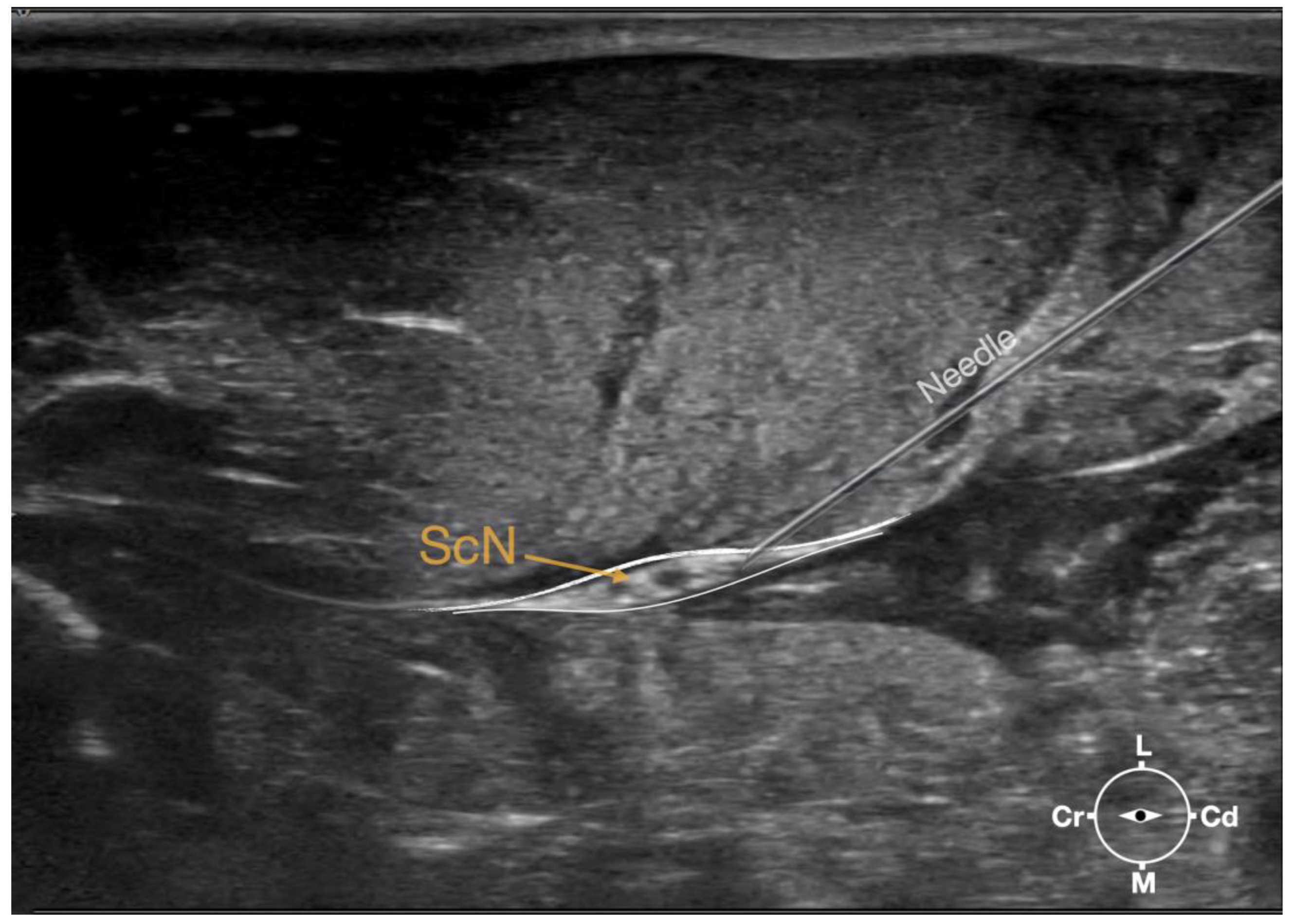 Animals 13 02393 g003