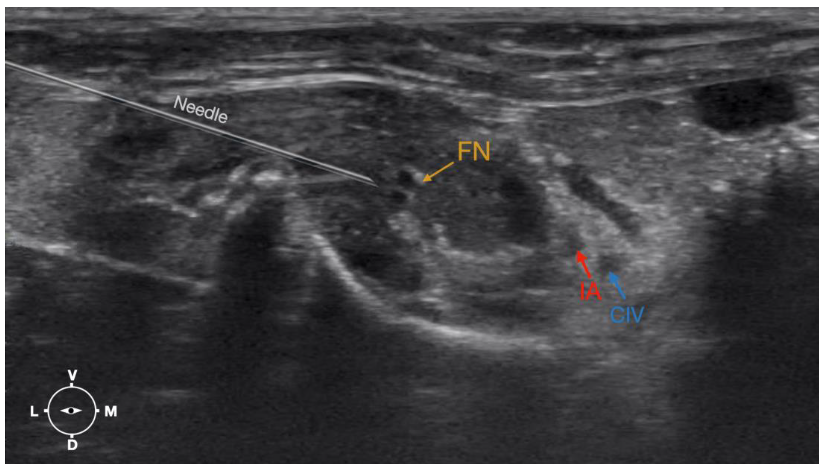 Animals 13 02393 g006