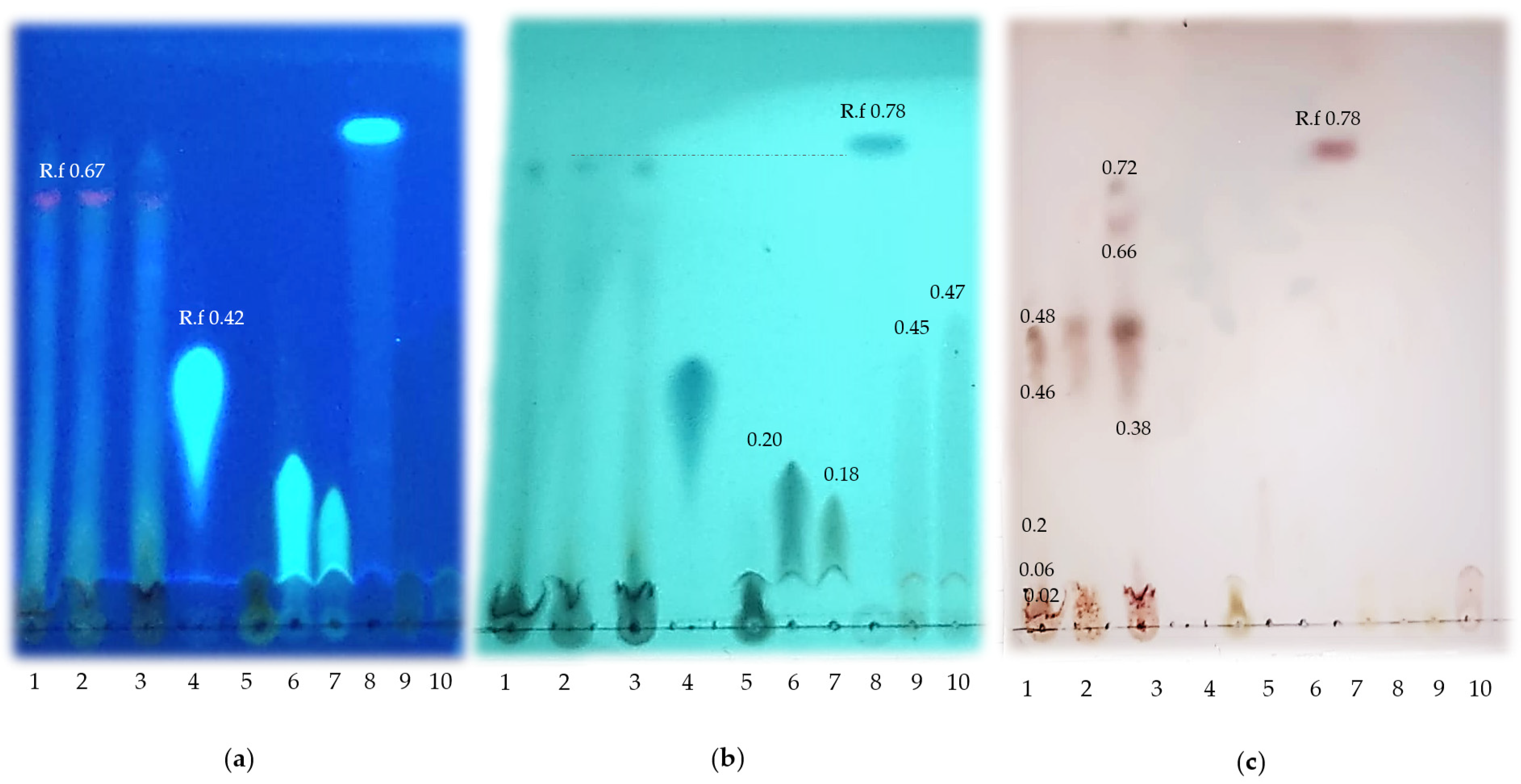 Animals 13 02396 g001 Animals 13 02396 g001