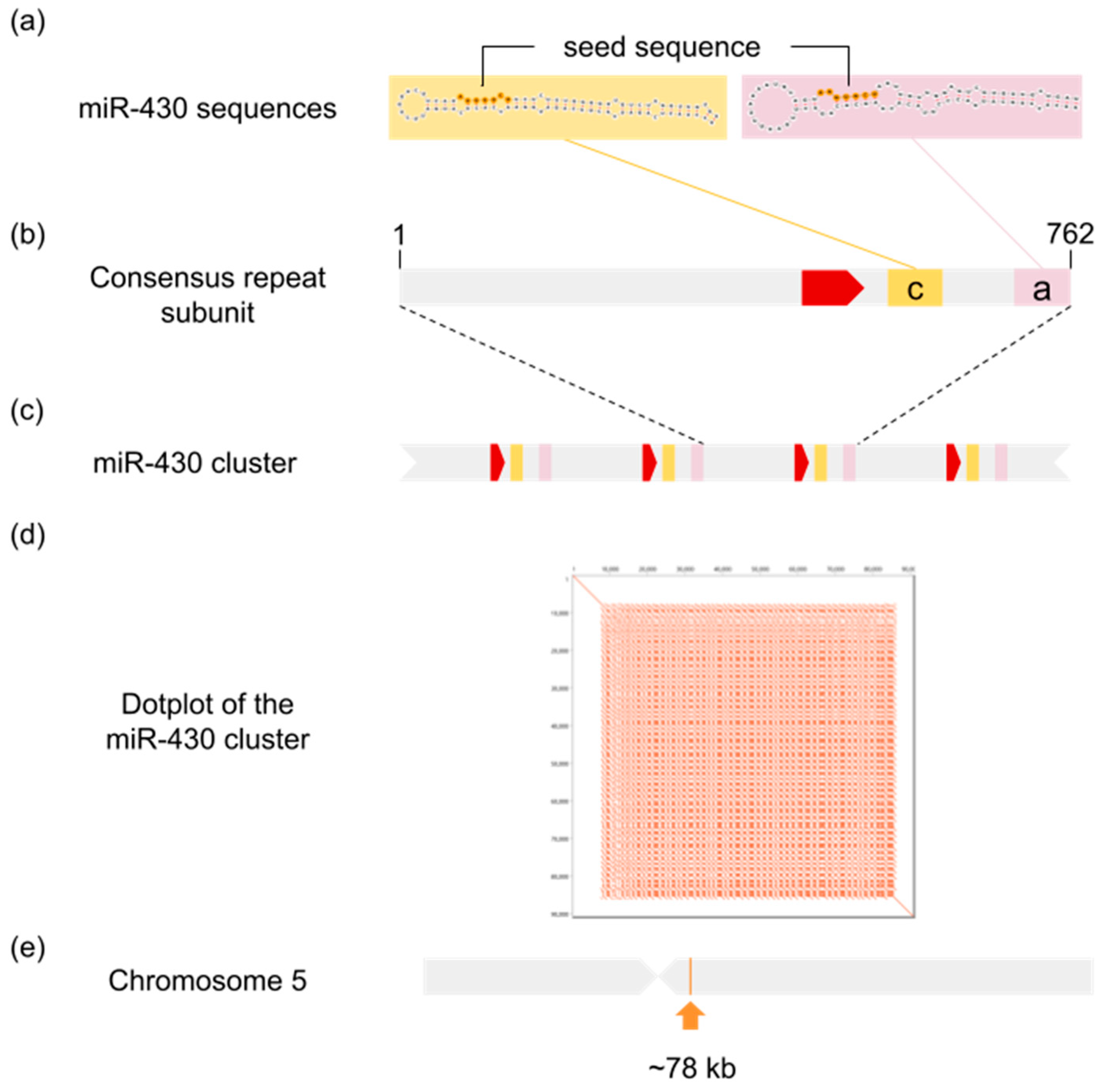 Animals 13 02399 g001 Animals 13 02399 g001