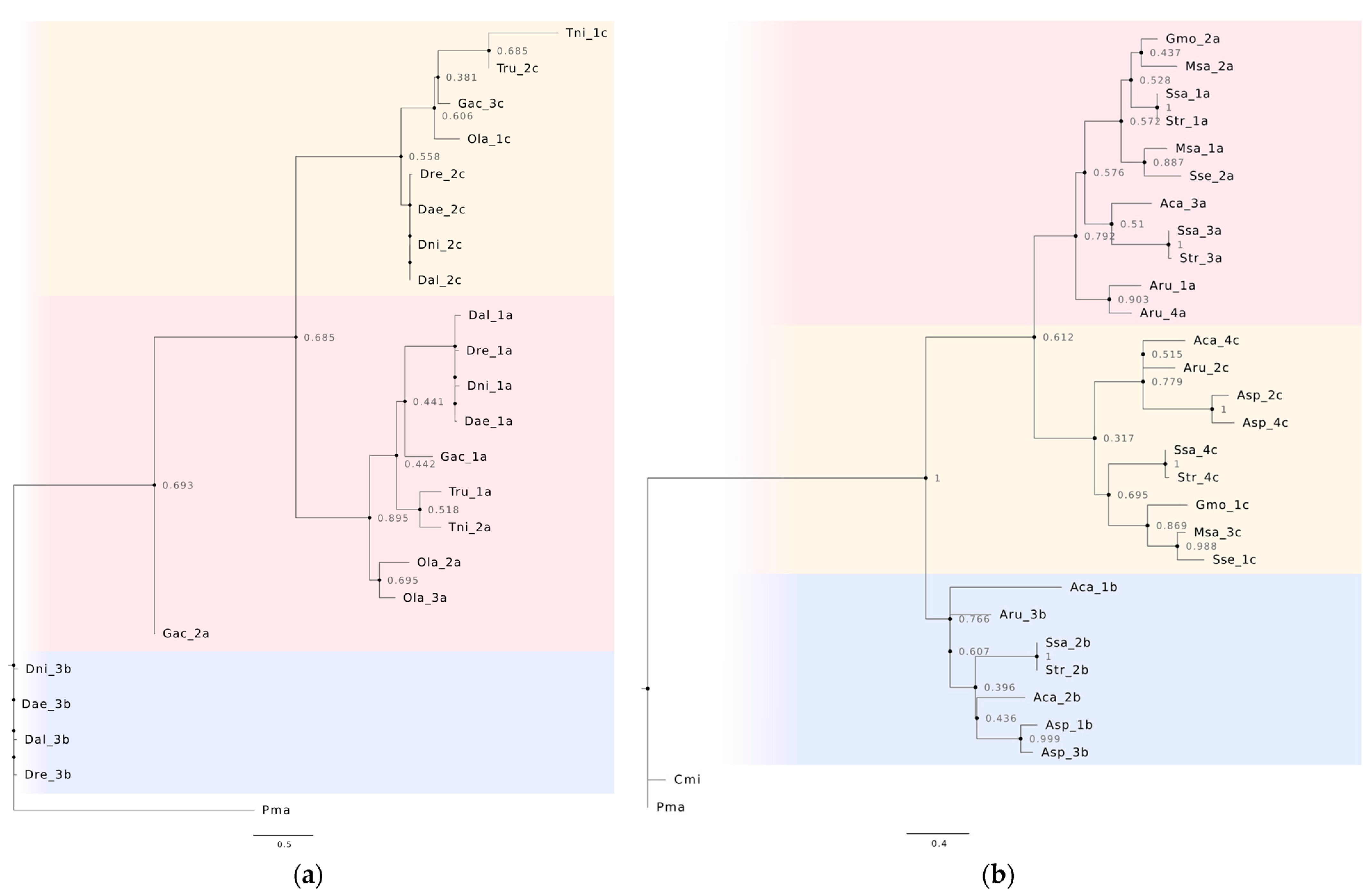 Animals 13 02399 g002 Animals 13 02399 g002