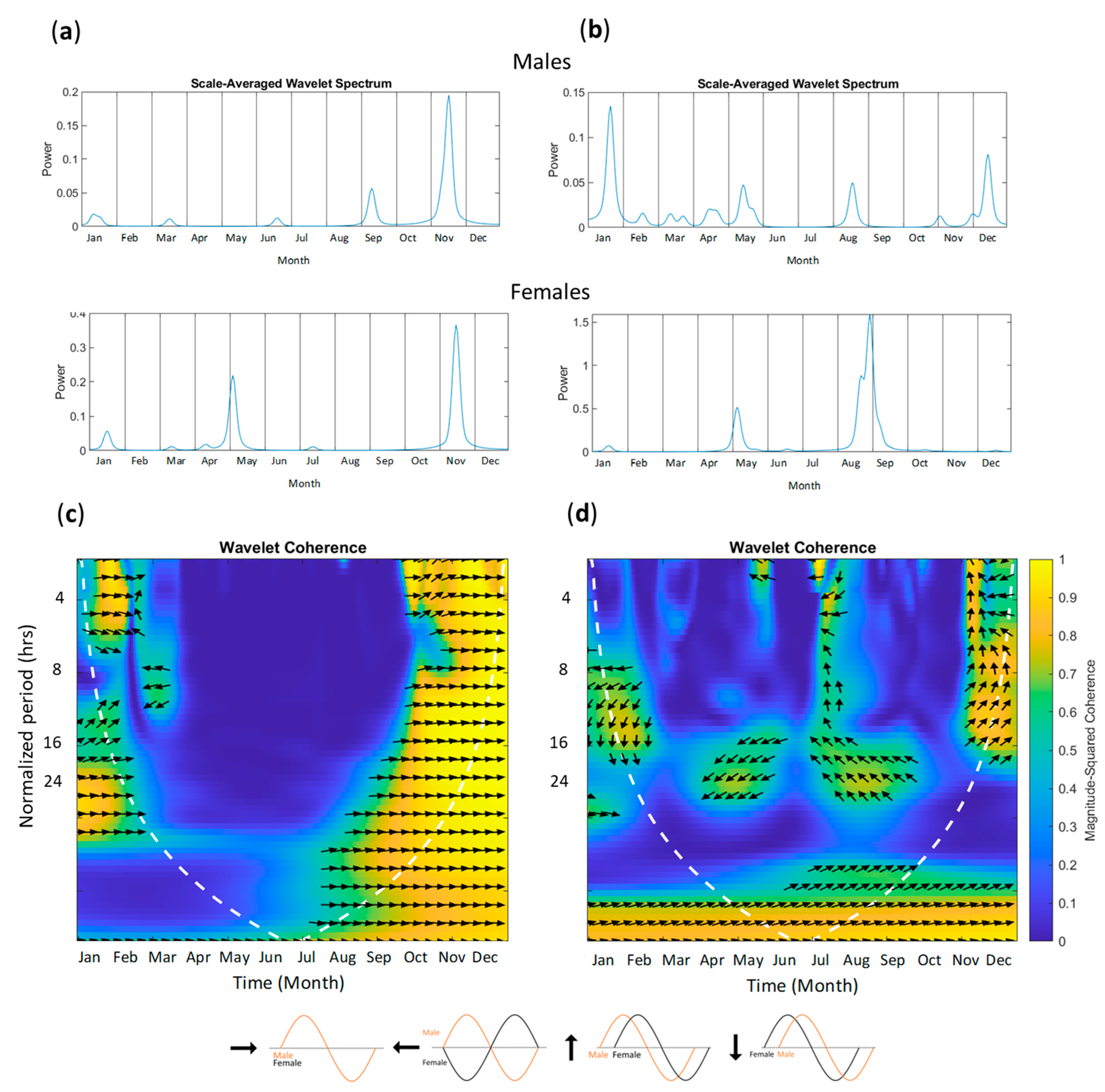 Animals 13 02401 g005 Animals 13 02401 g005
