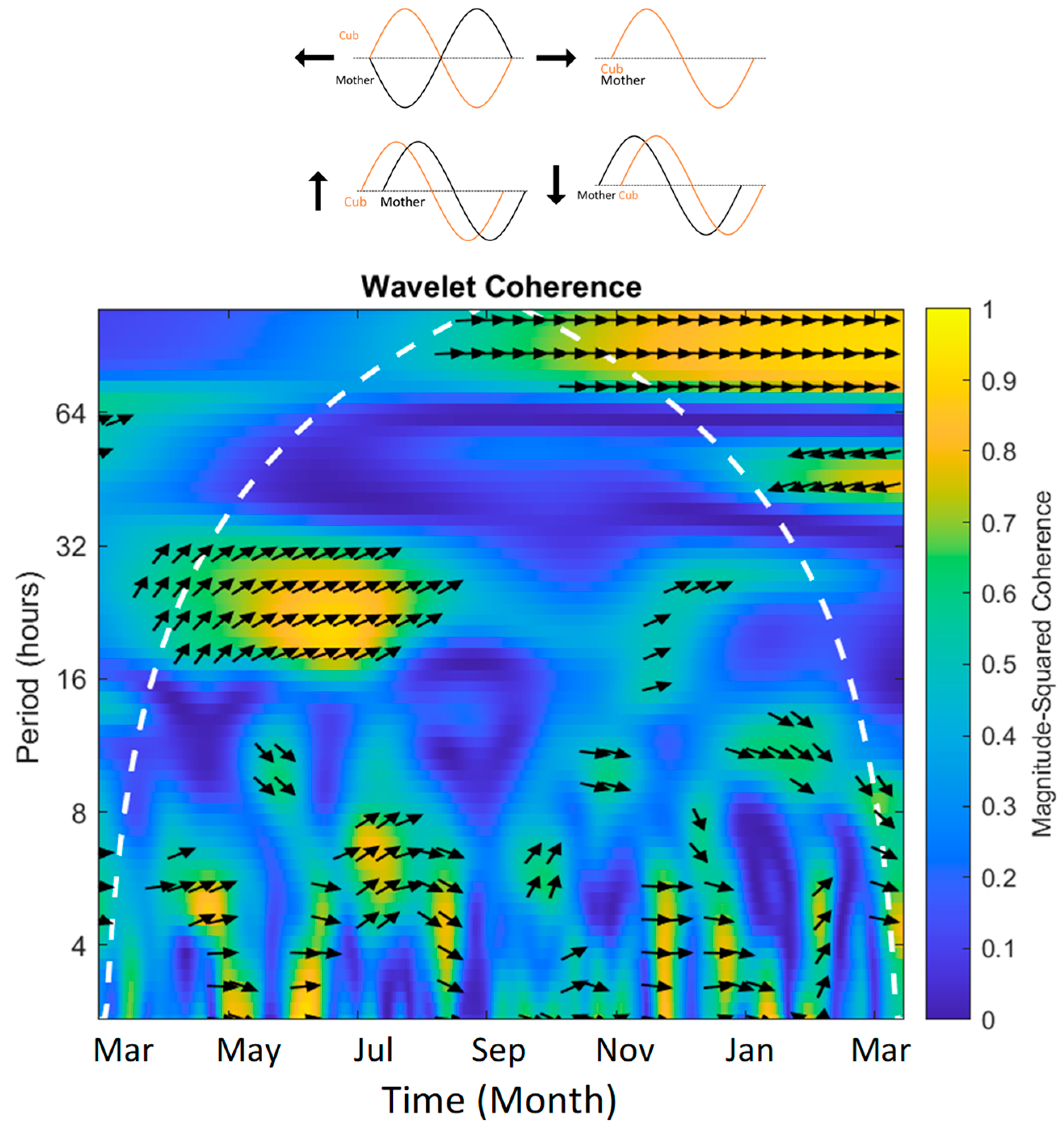 Animals 13 02401 g010 Animals 13 02401 g010