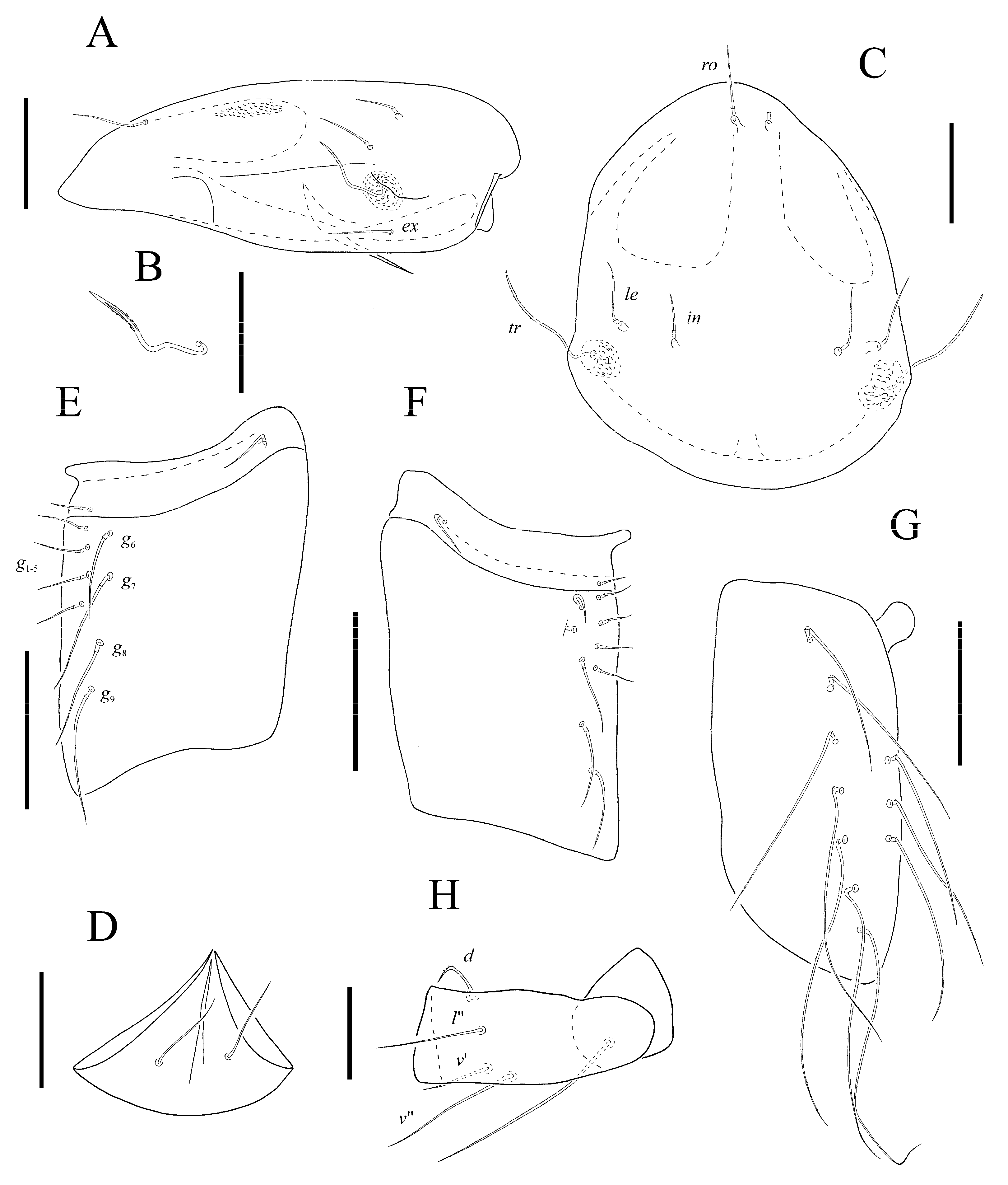 Animals 13 02403 g002 550