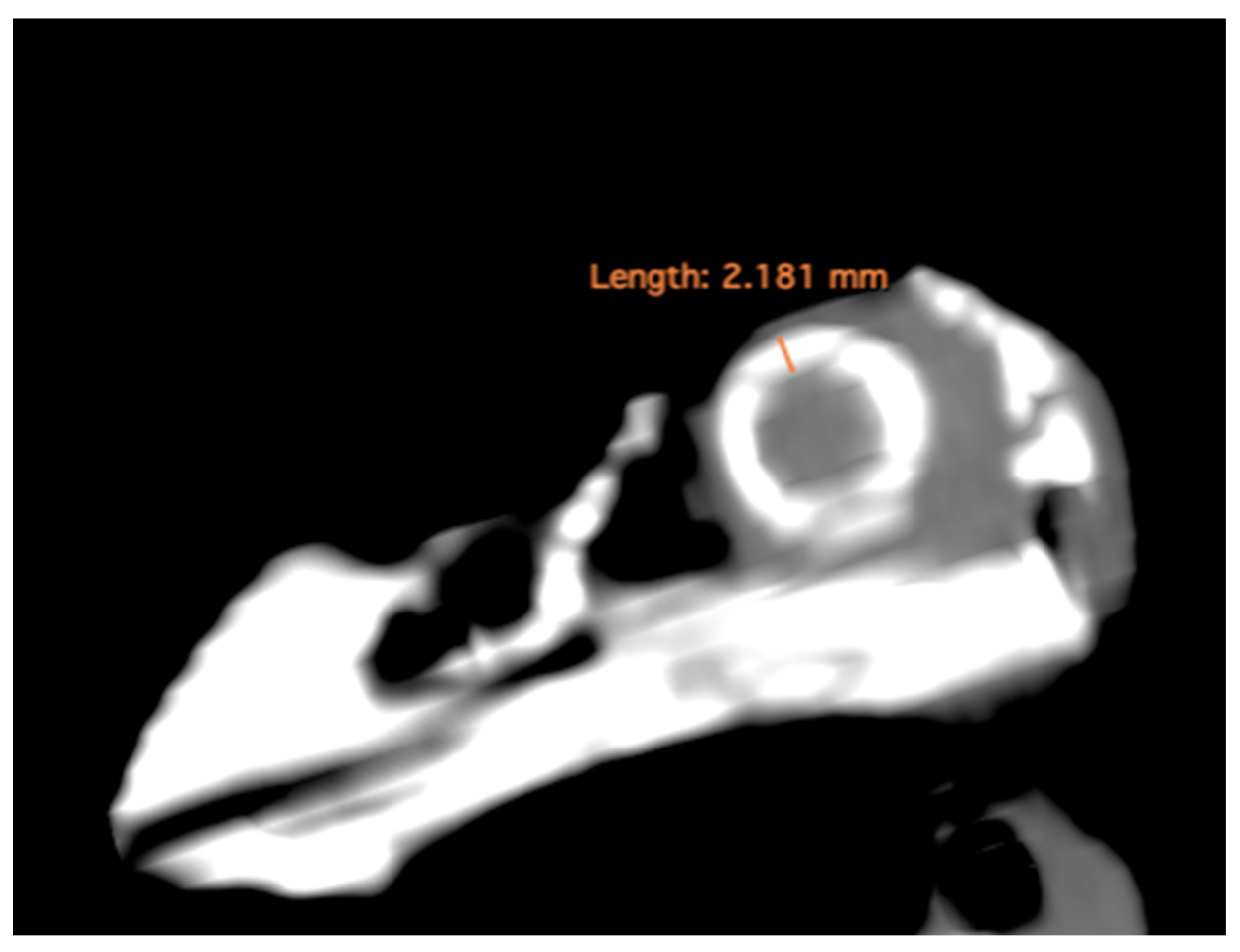 Animals 13 02418 g002 Animals 13 02418 g002