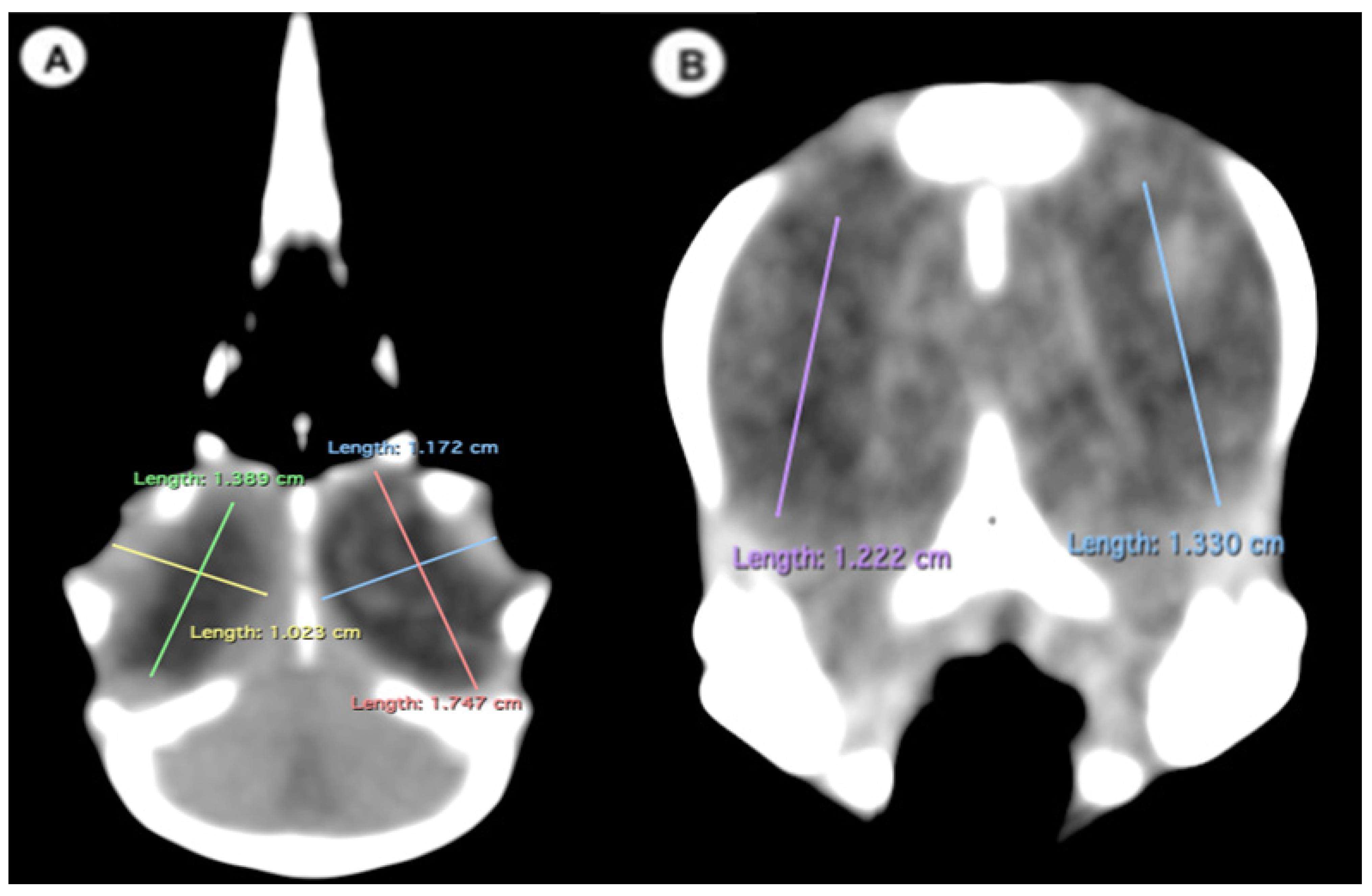 Animals 13 02418 g003 Animals 13 02418 g003