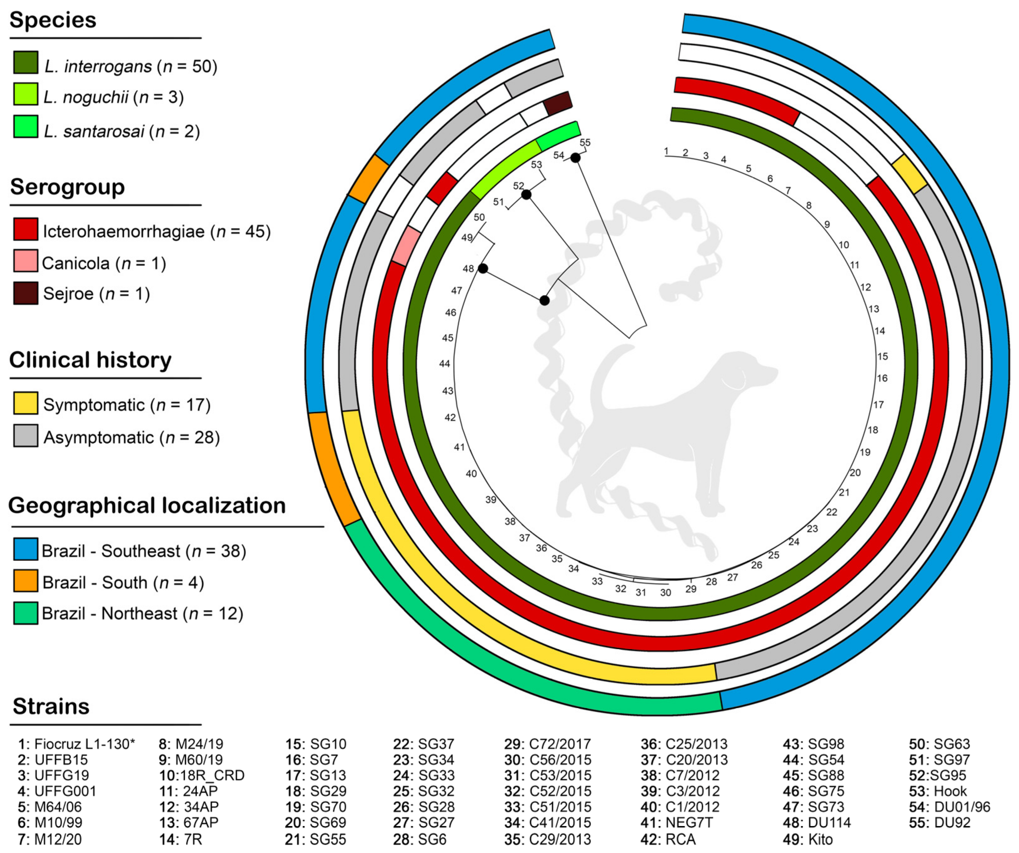 Animals 13 02422 g002