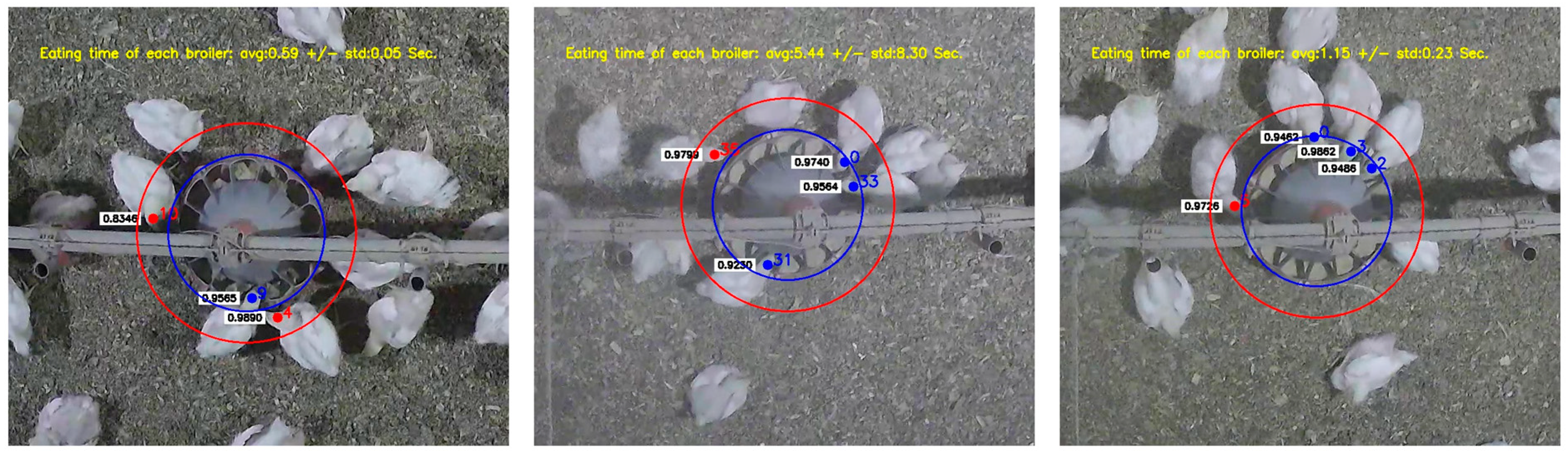 Animals 13 02428 g002