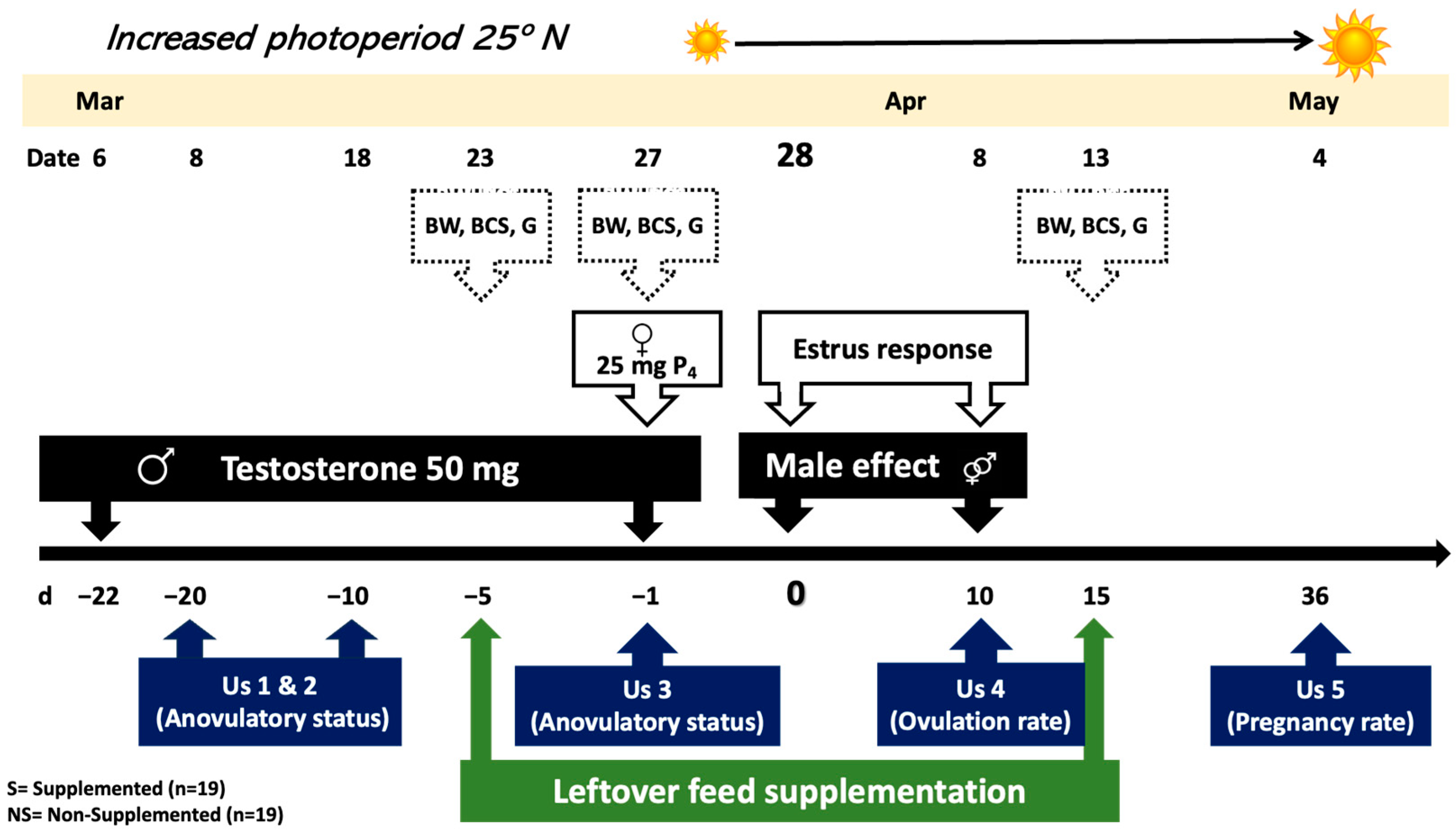 Animals 13 02431 g001 Animals 13 02431 g001