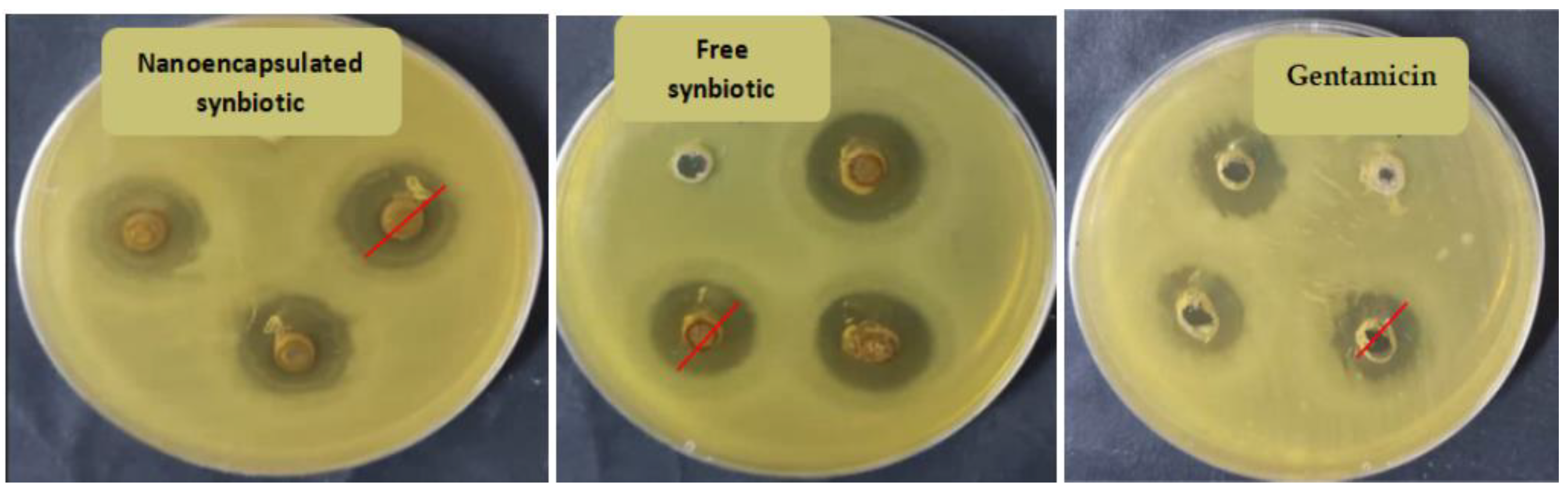 Animals 13 02432 g001 Animals 13 02432 g001