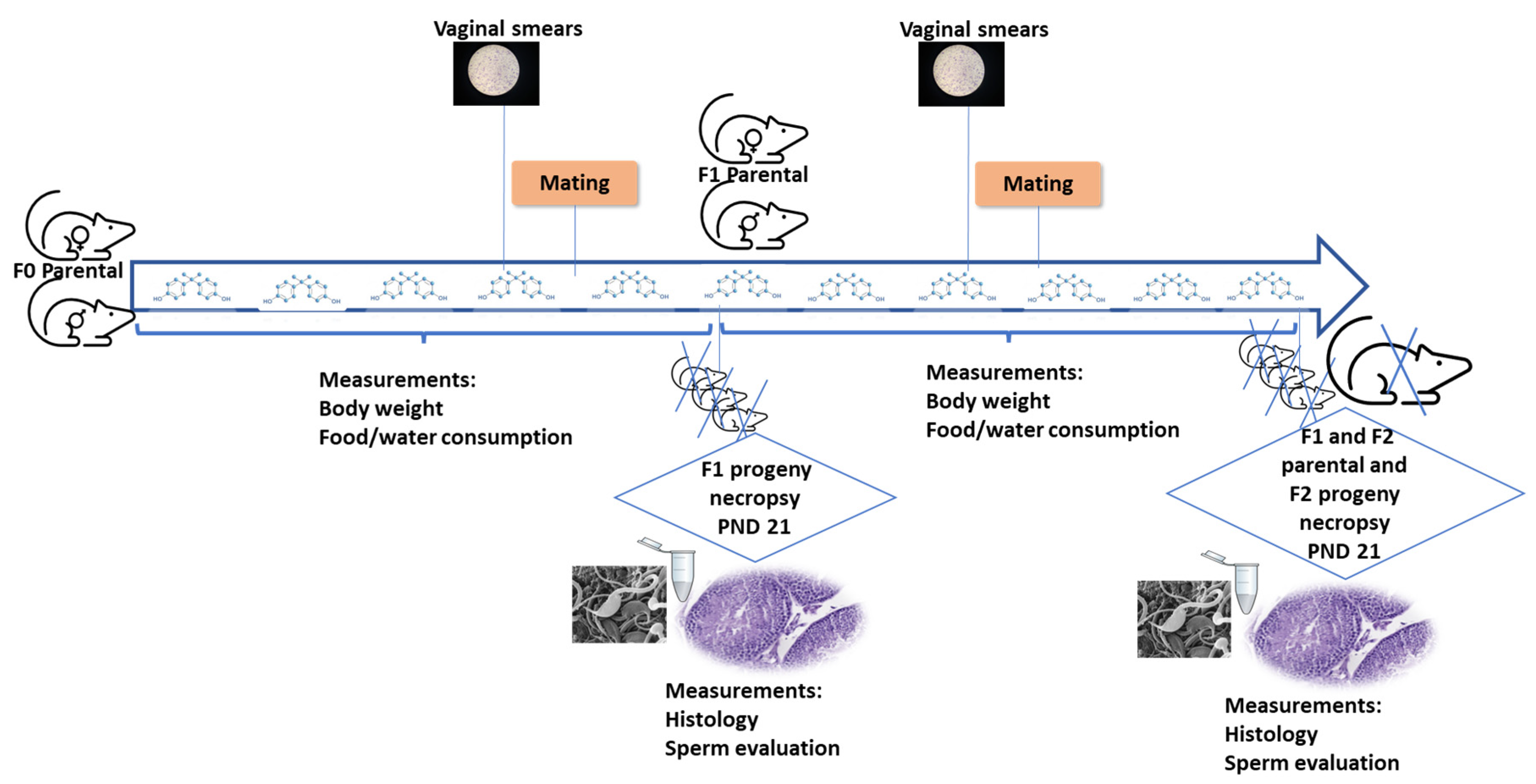 Animals 13 02439 g002 Animals 13 02439 g002