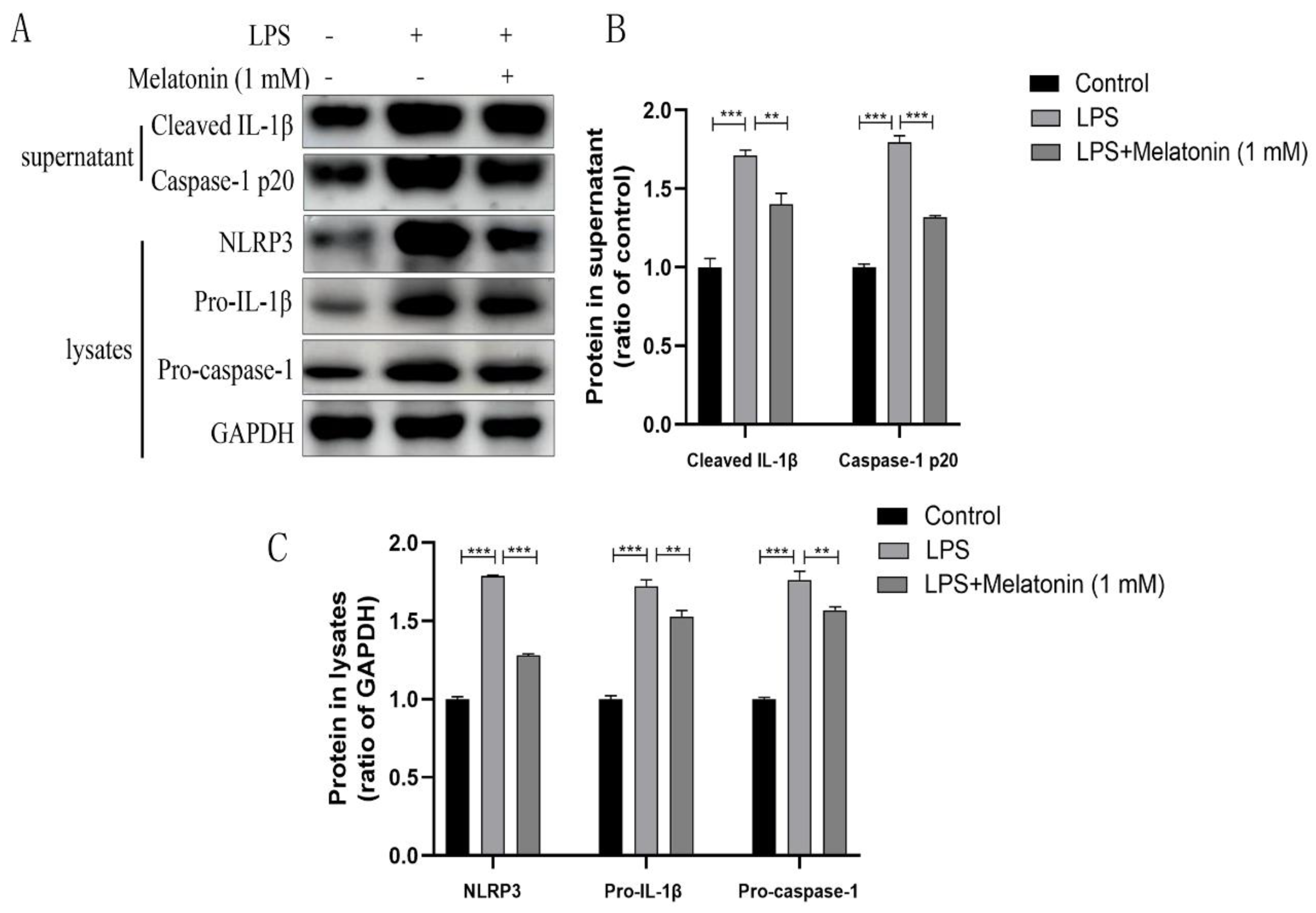Animals 13 02449 g002