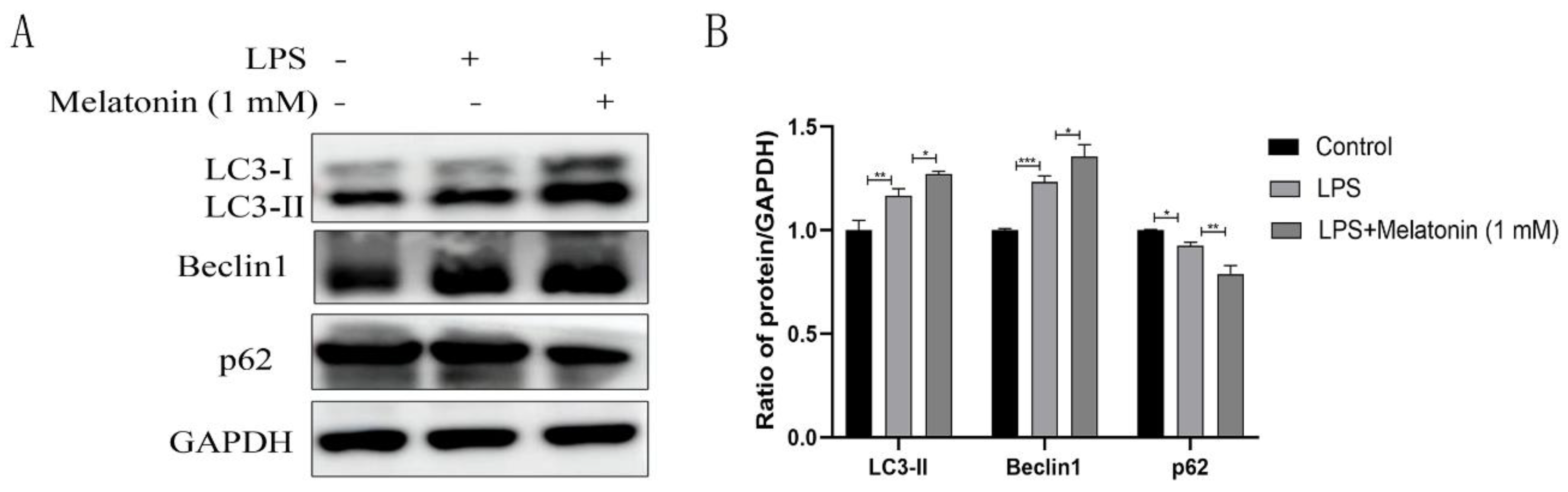 Animals 13 02449 g003