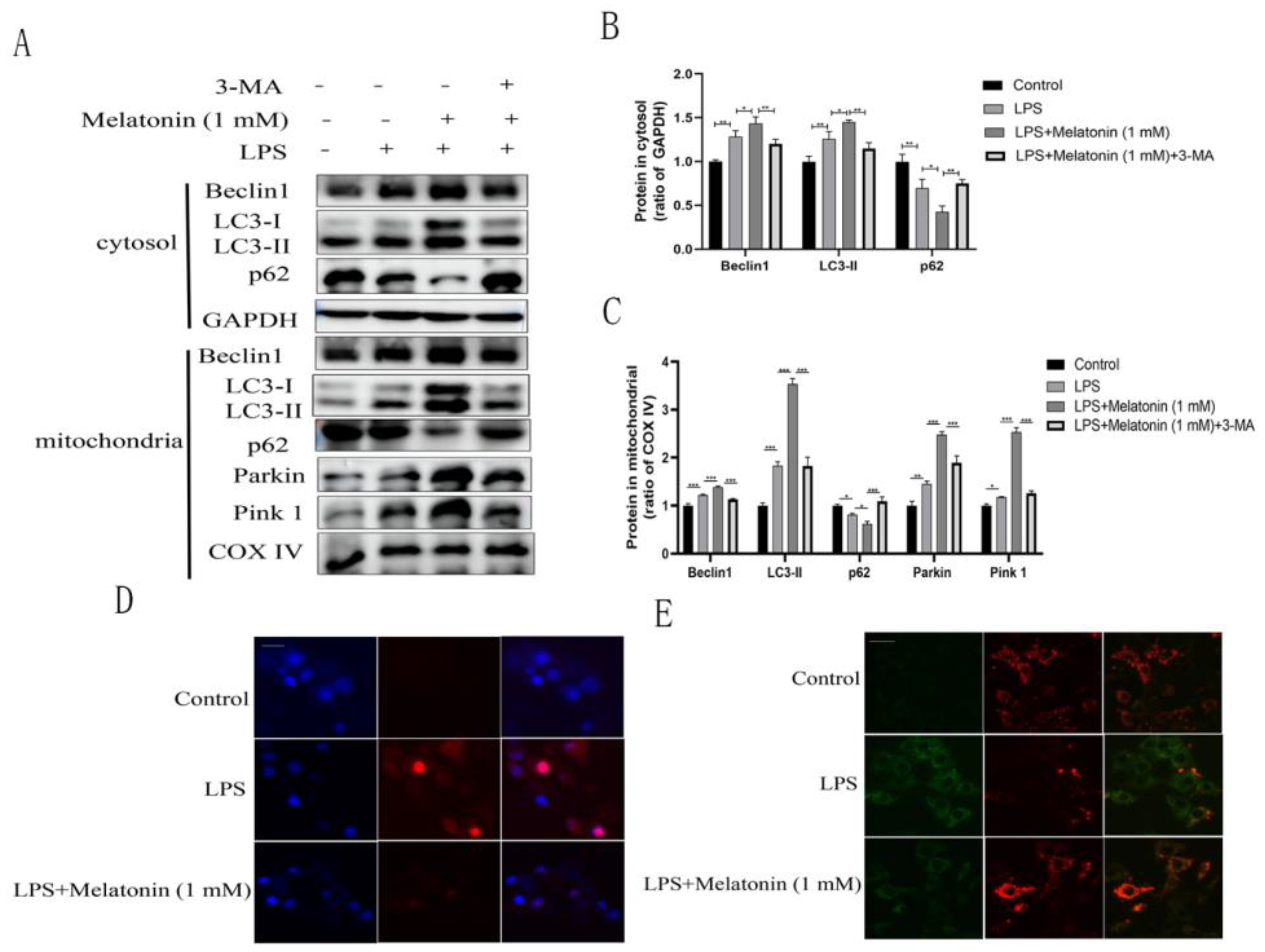 Animals 13 02449 g004