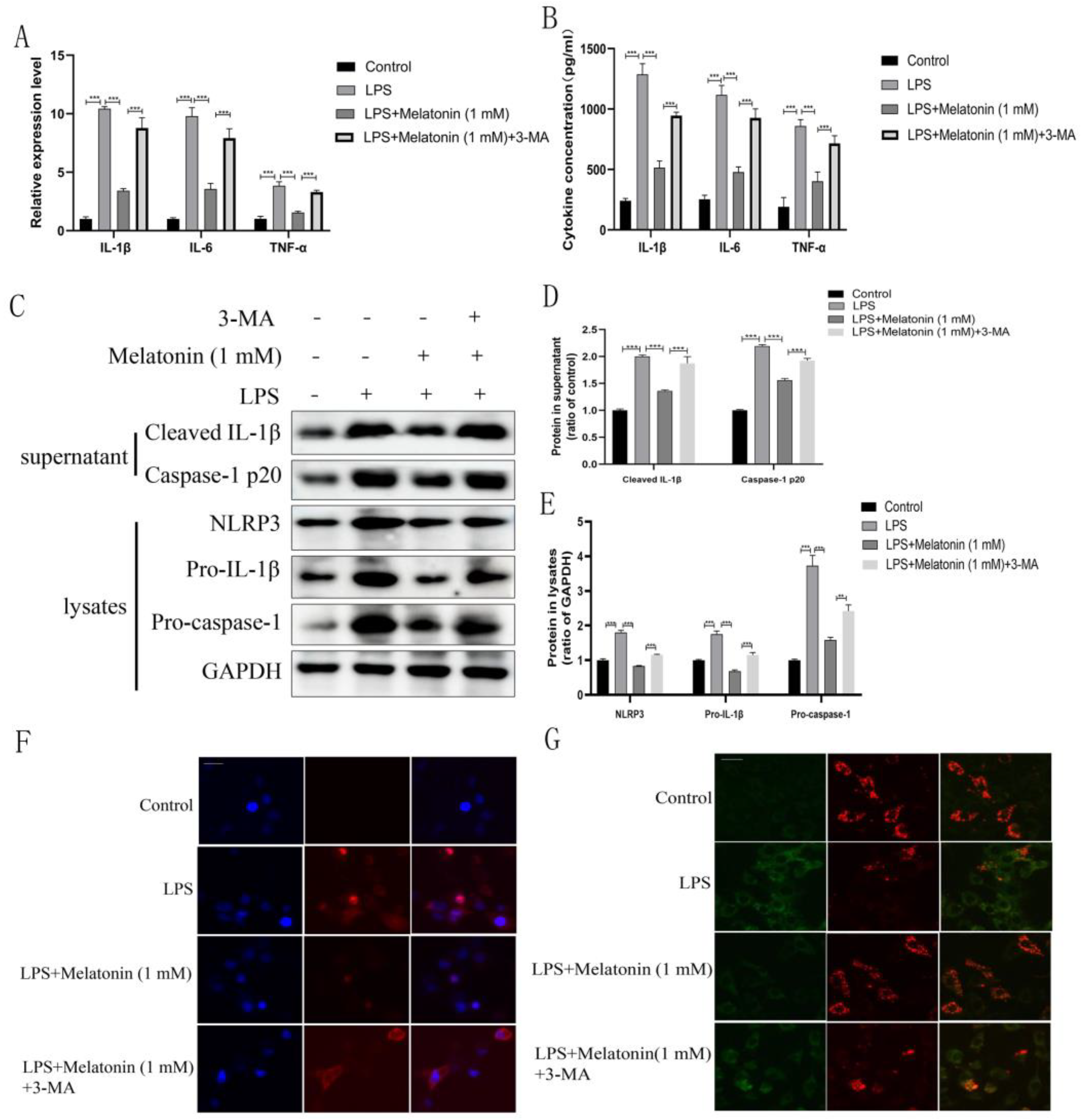 Animals 13 02449 g005