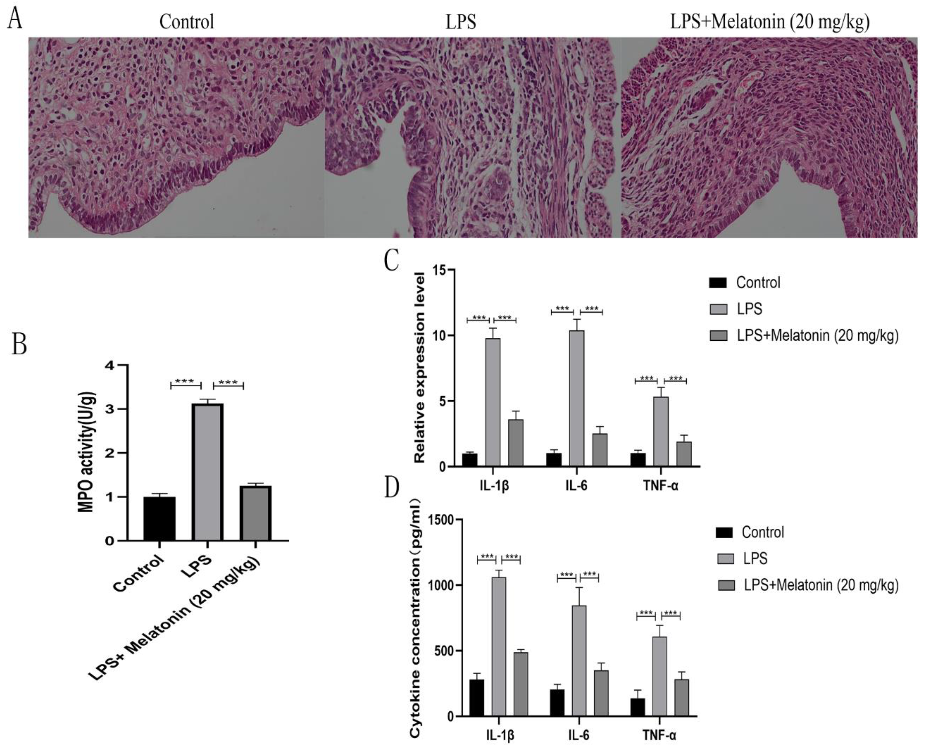 Animals 13 02449 g006