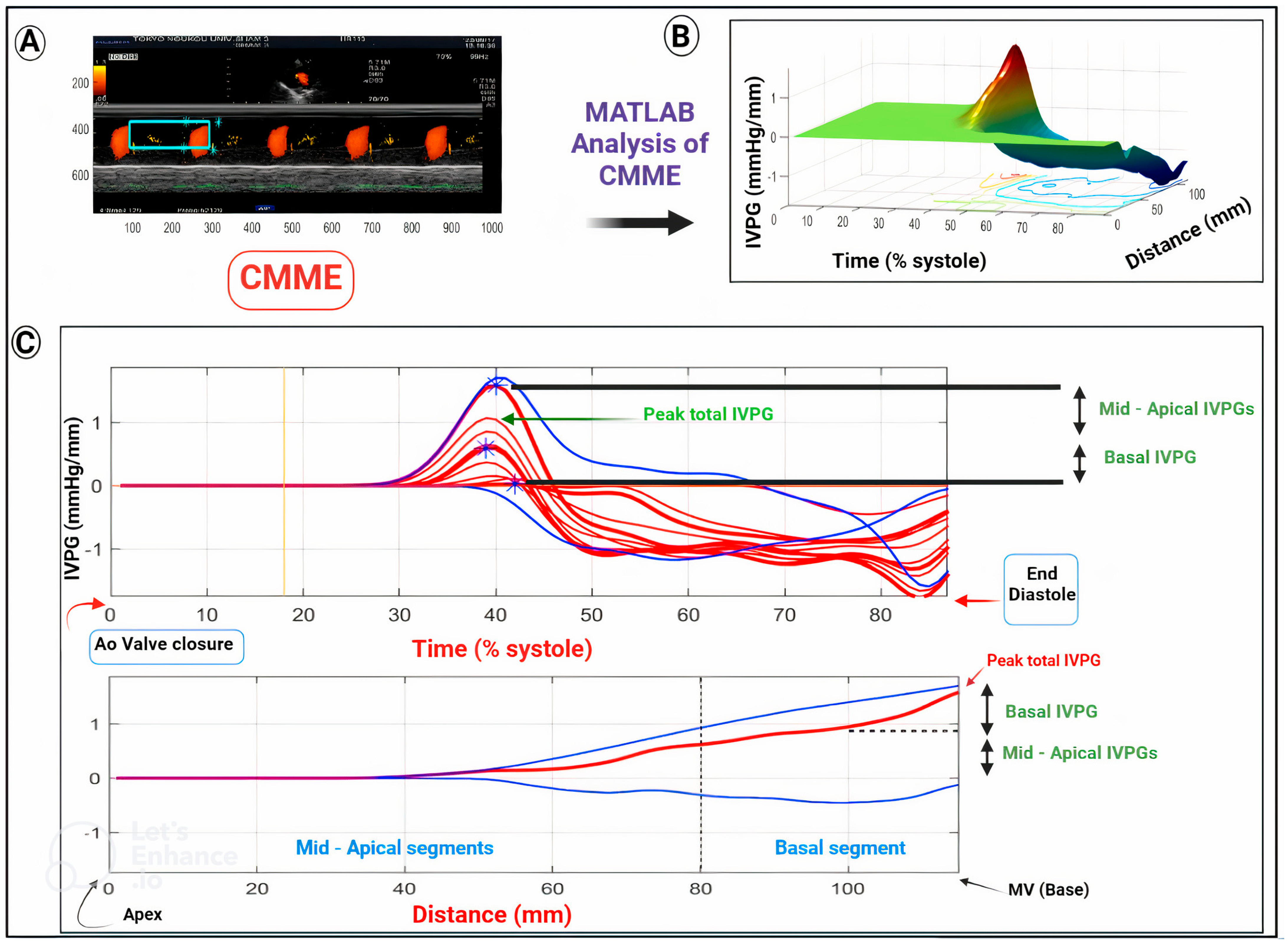 Animals 13 02452 g001 Animals 13 02452 g001
