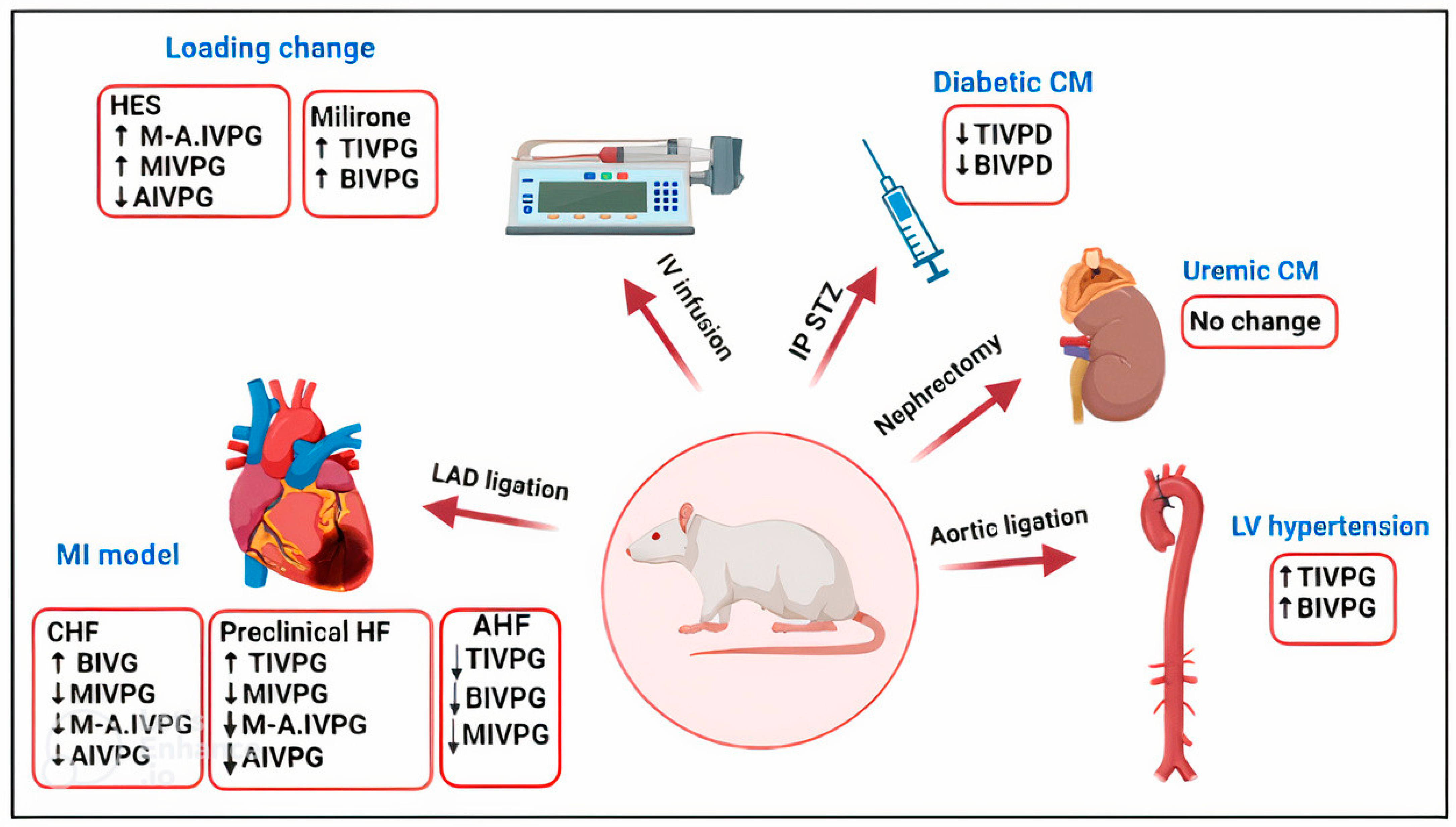 Animals 13 02452 g002 Animals 13 02452 g002