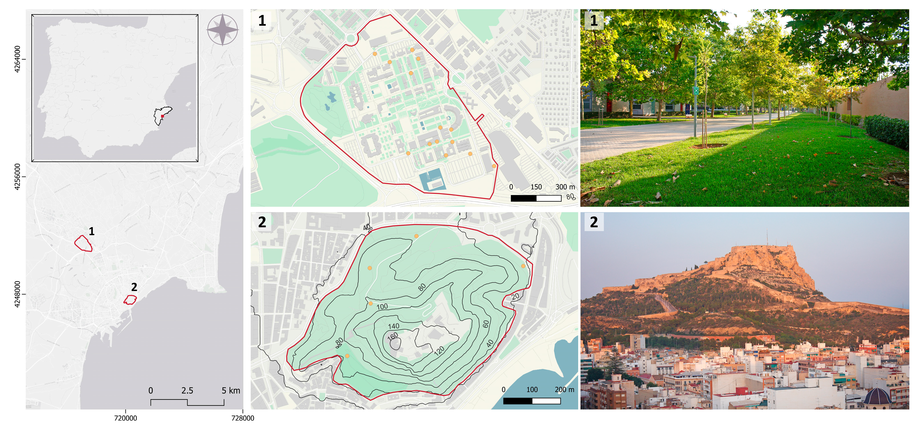 Animals 13 02453 g001 Animals 13 02453 g001